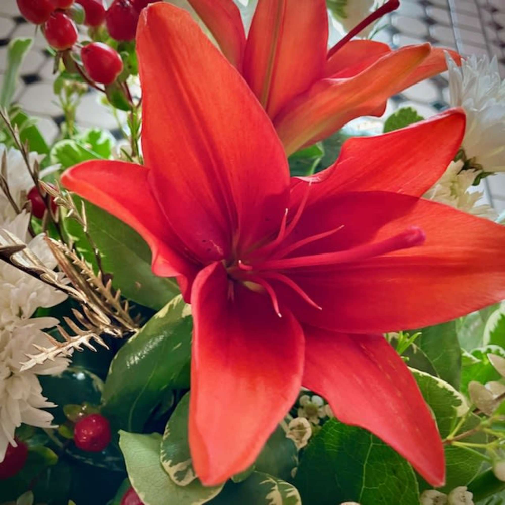 Give this beautiful design in colors of red, white and green with