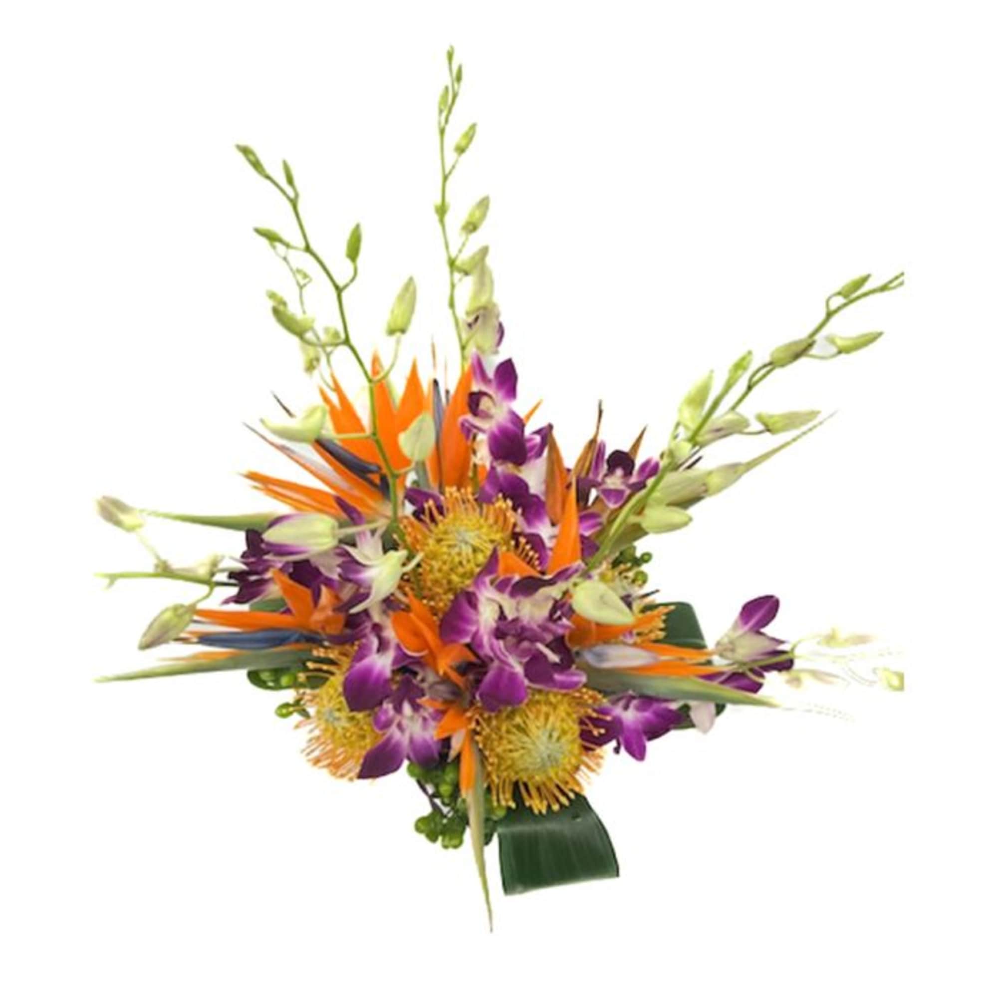 A stunning and unusual tropical arrangement of Birds of Paradise, Pin Cushion