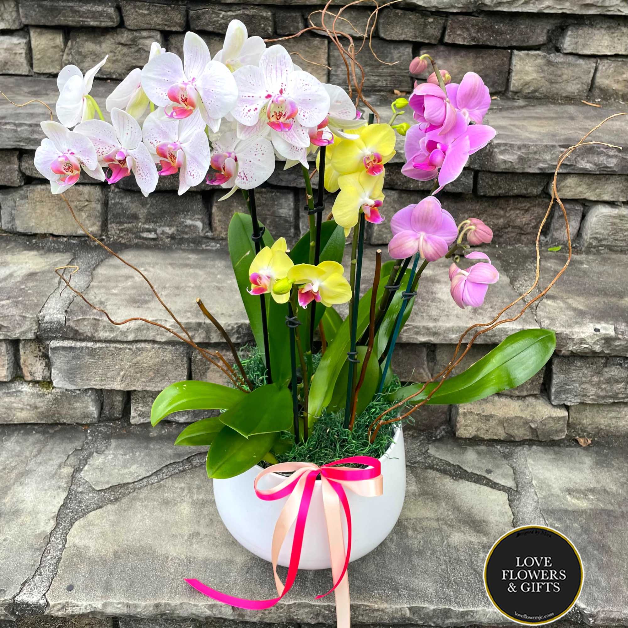 Abundant and beautiful Orchids arranged&nbsp;in a high-quality ceramic pot with decorative elements