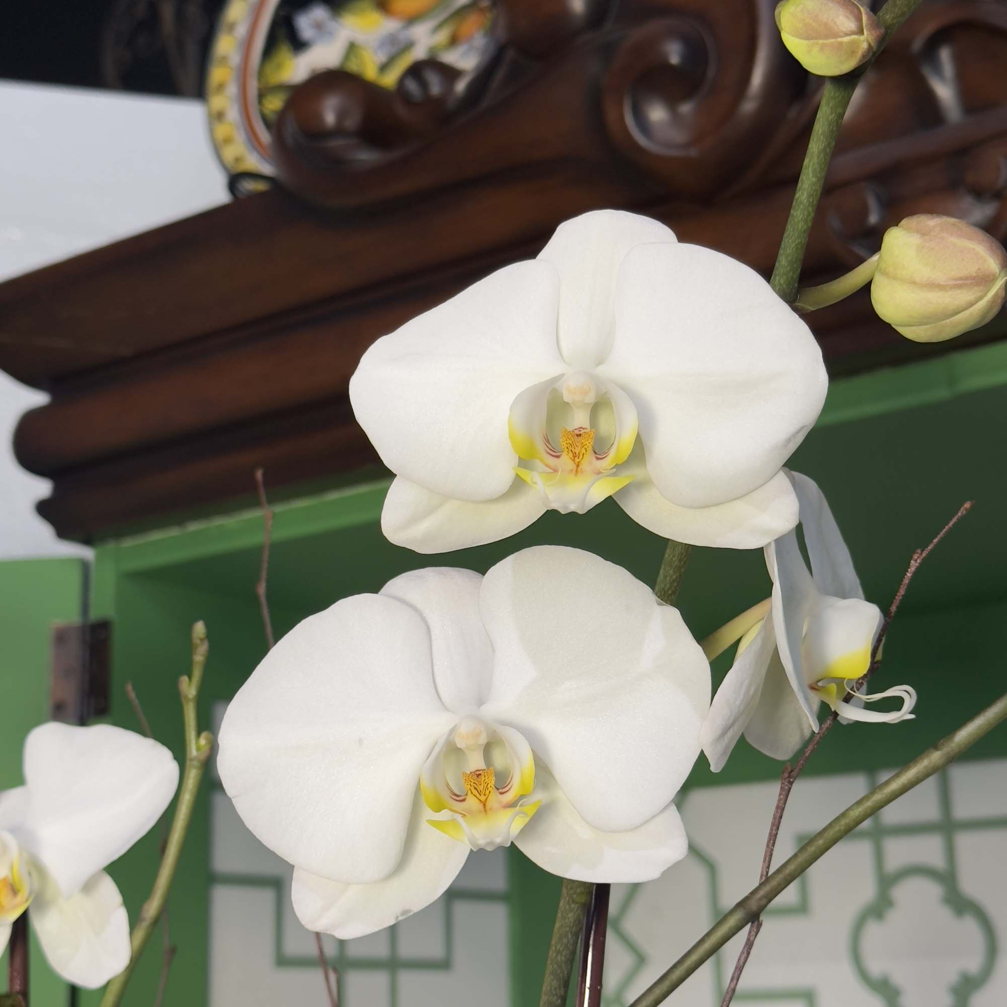 A timeless display of elegance, this white ceramic cylinder features two stunning