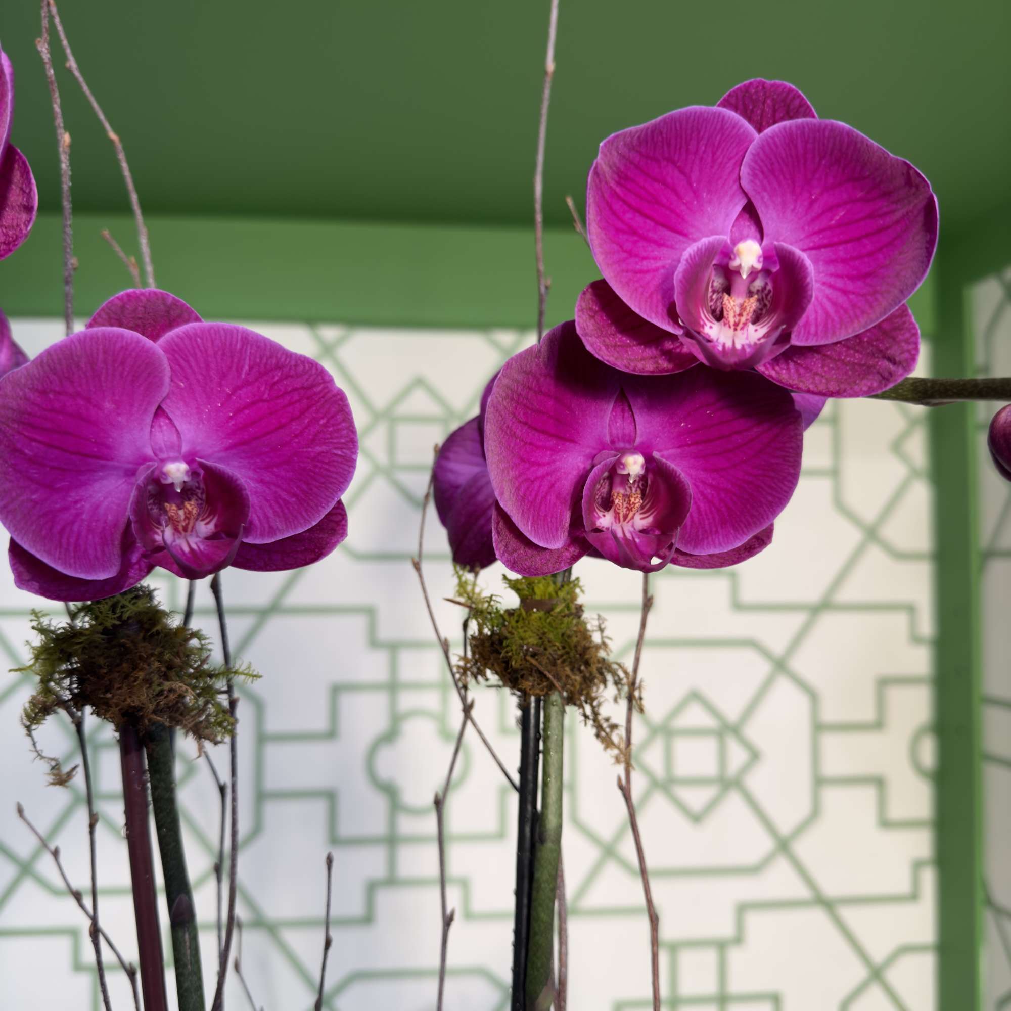 A timeless display of elegance, this white ceramic cylinder features two stunning