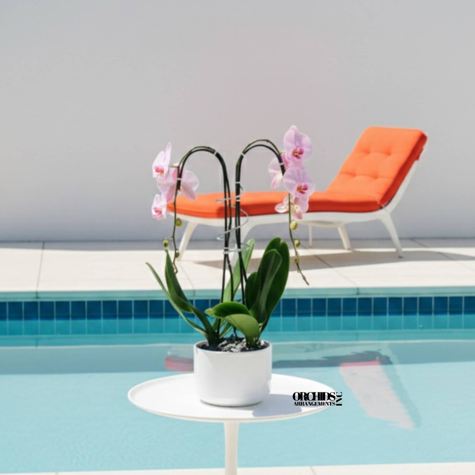 A high quality Double pink orchid arrangement with a vase 8.5" D