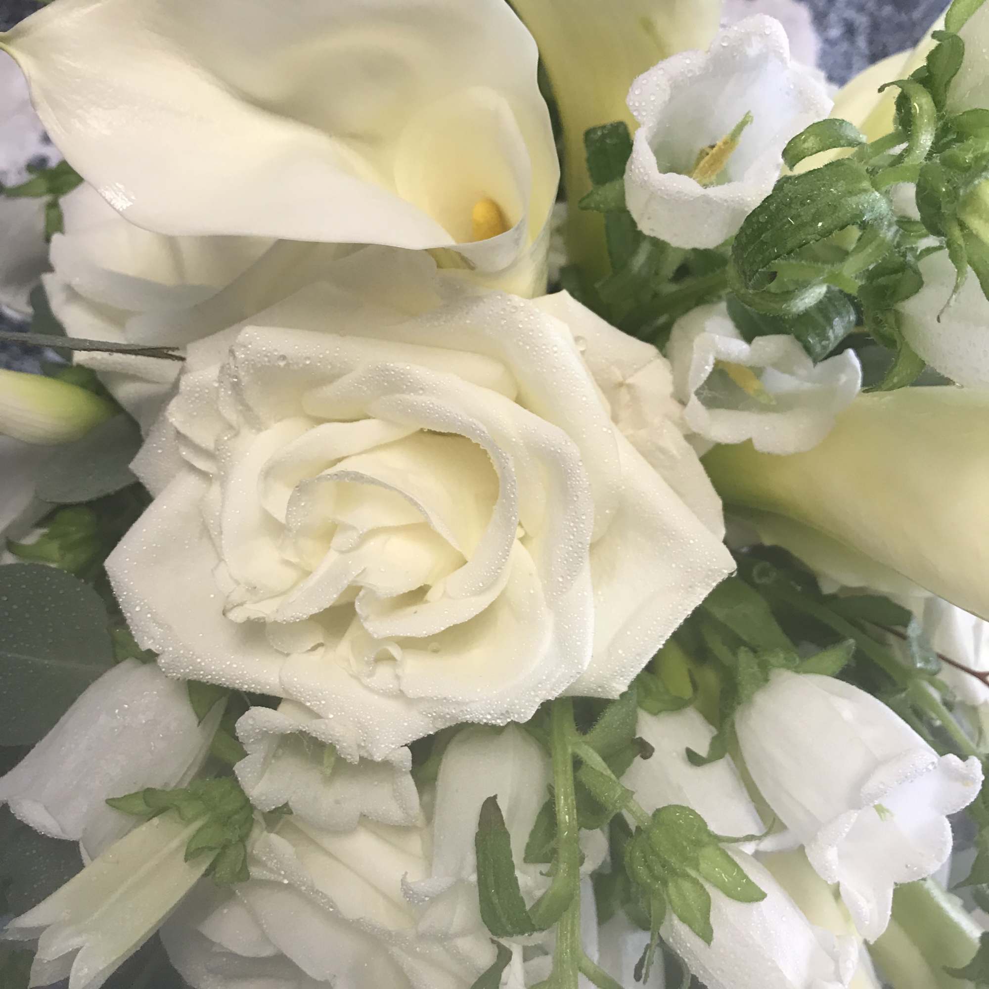 This bouquet is designed with White Roses, White Snapdragons, White Campanulla, White