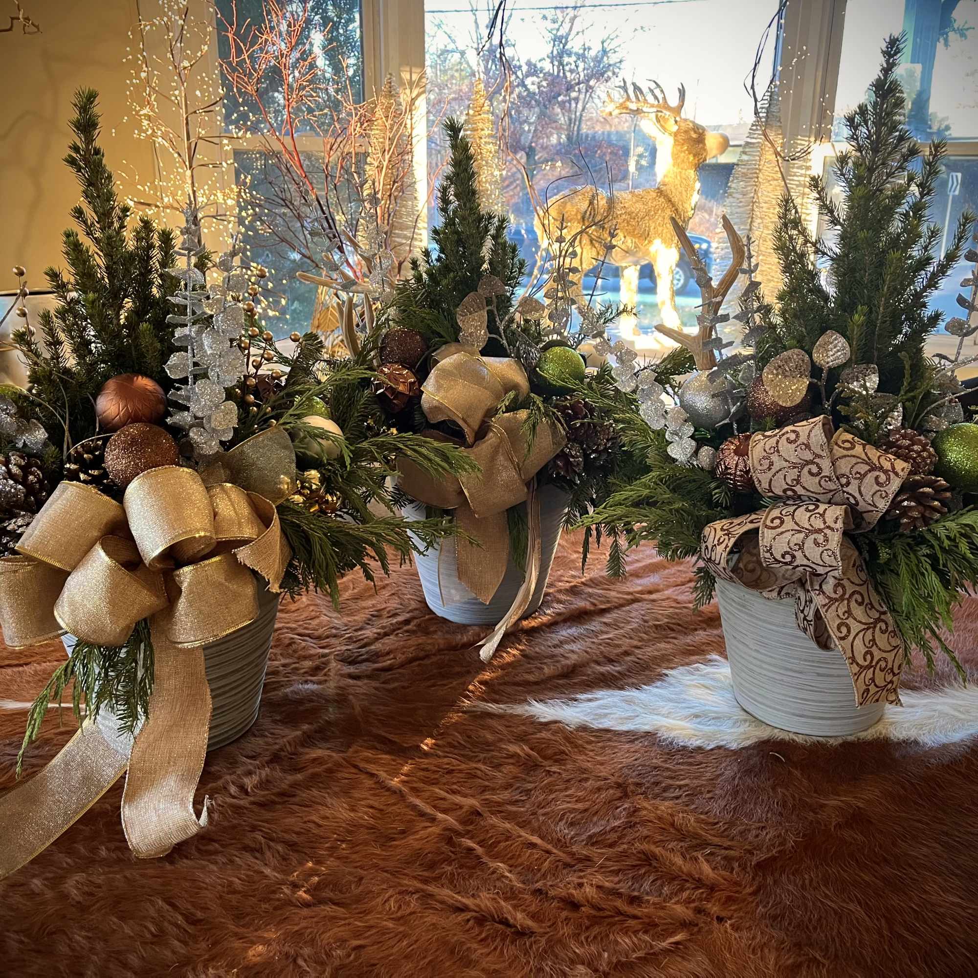 Dwarf Alberta Spruce decorated with tasteful winter ribbon and accessories. 

2 for