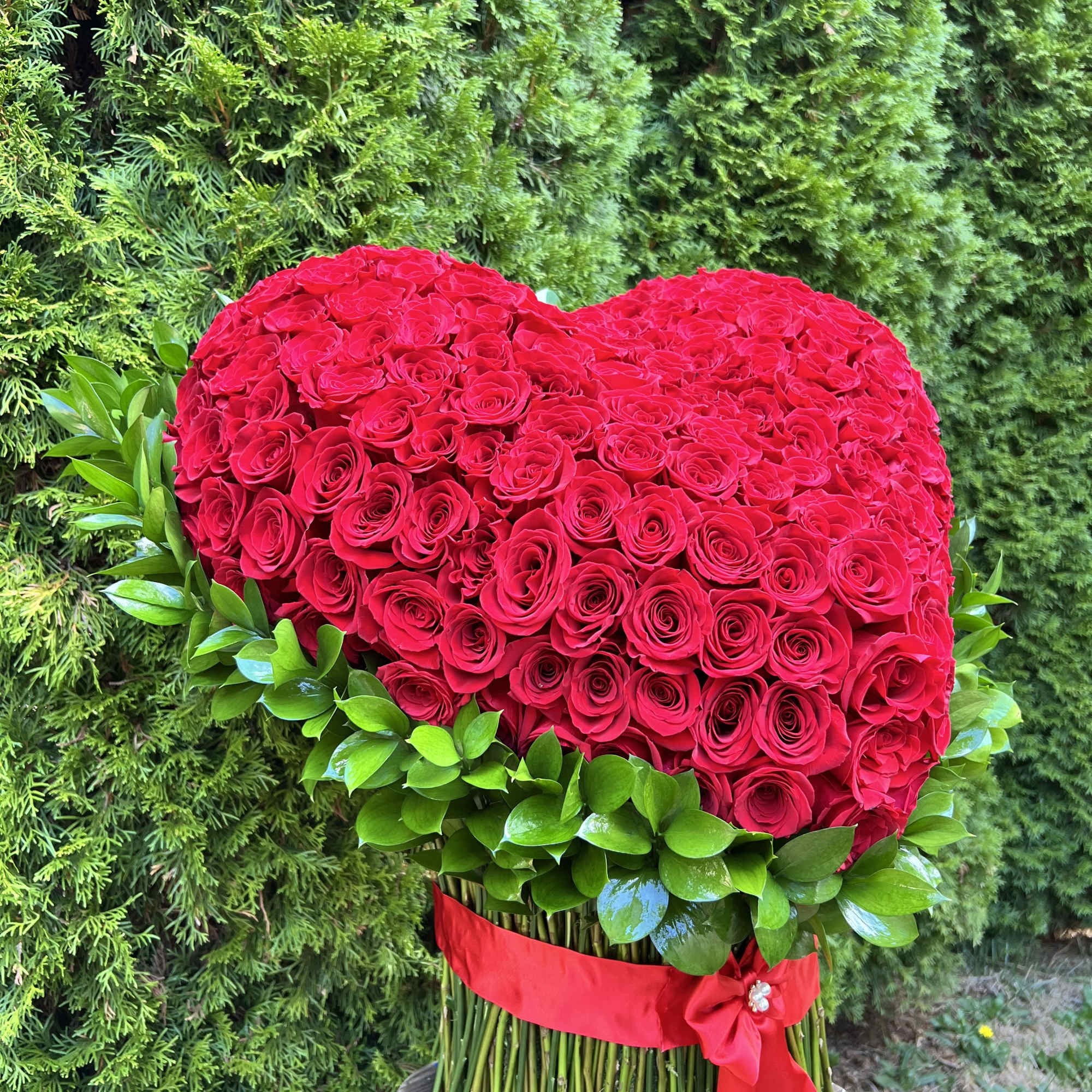 300 Premium Ecuadorean roses , handled carefully to make the most beautiful