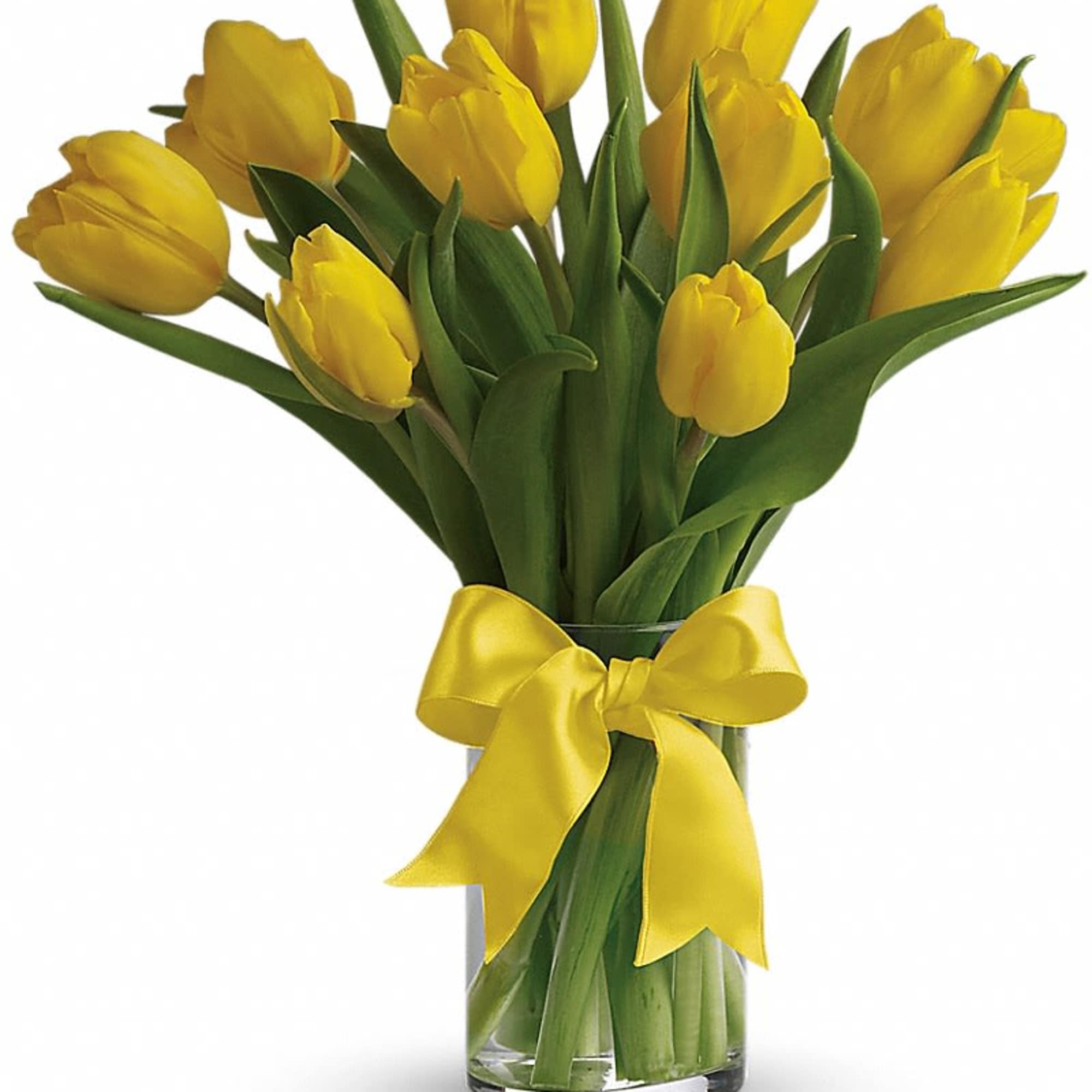 Sunny yellow tulips are a sure sign of spring. Even if the