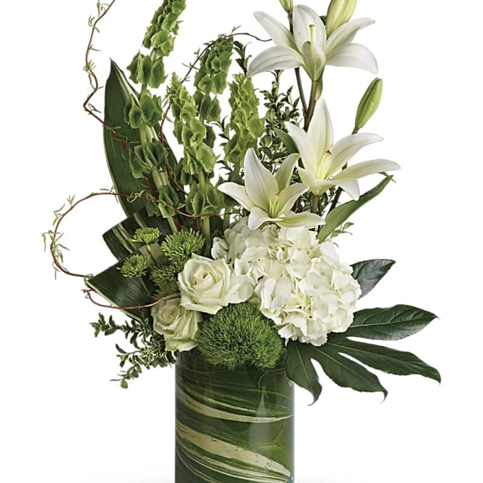 Snow white blooms and eye-catching greens create this beautiful botanical gift that's