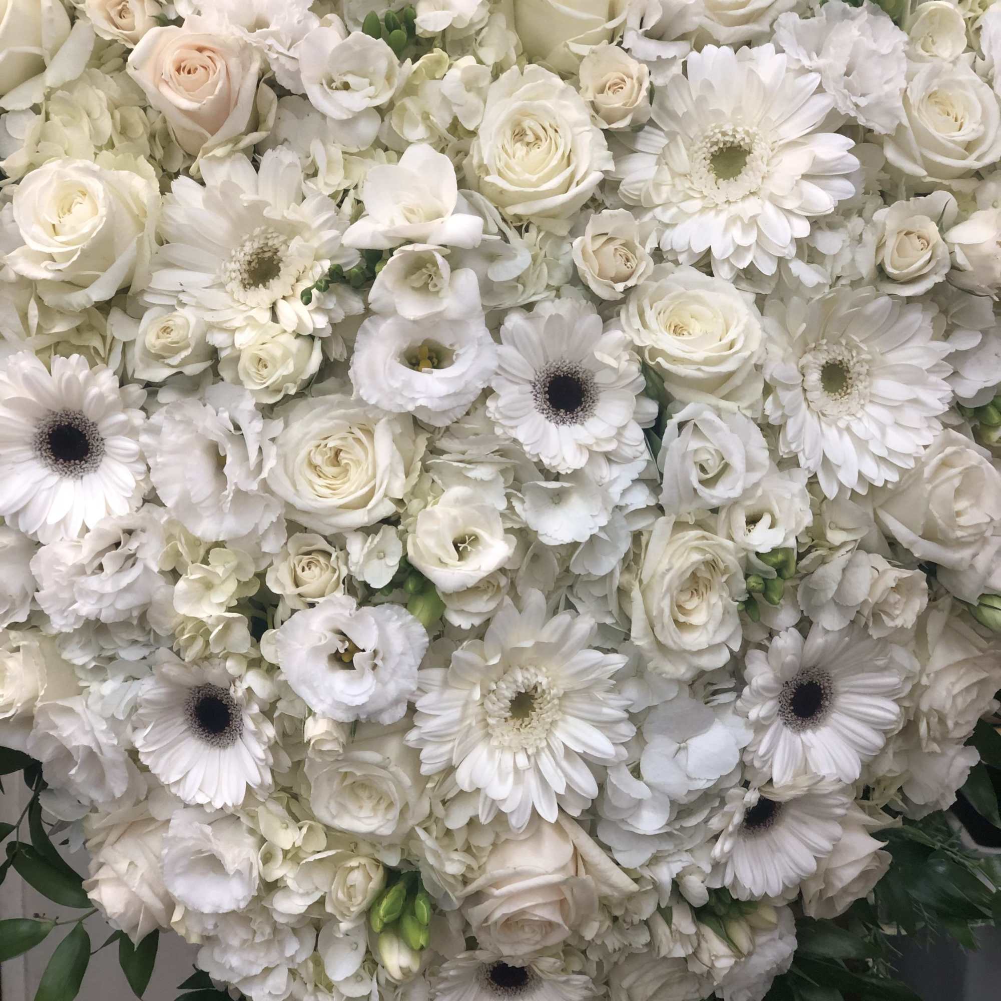 The bleeding heart is a beautiful display expressing your profound affection for