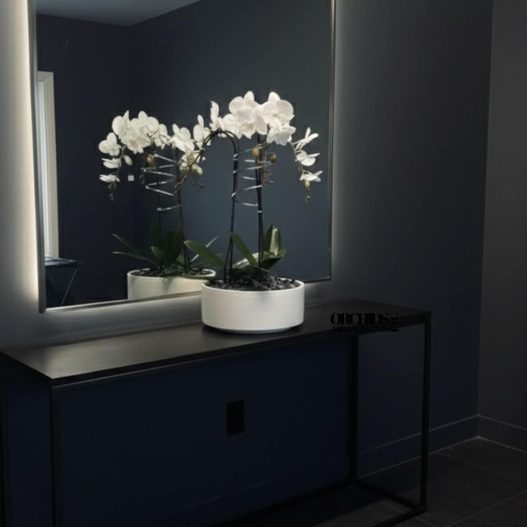 A high quality Triple white orchid arrangement with a vase 9" D