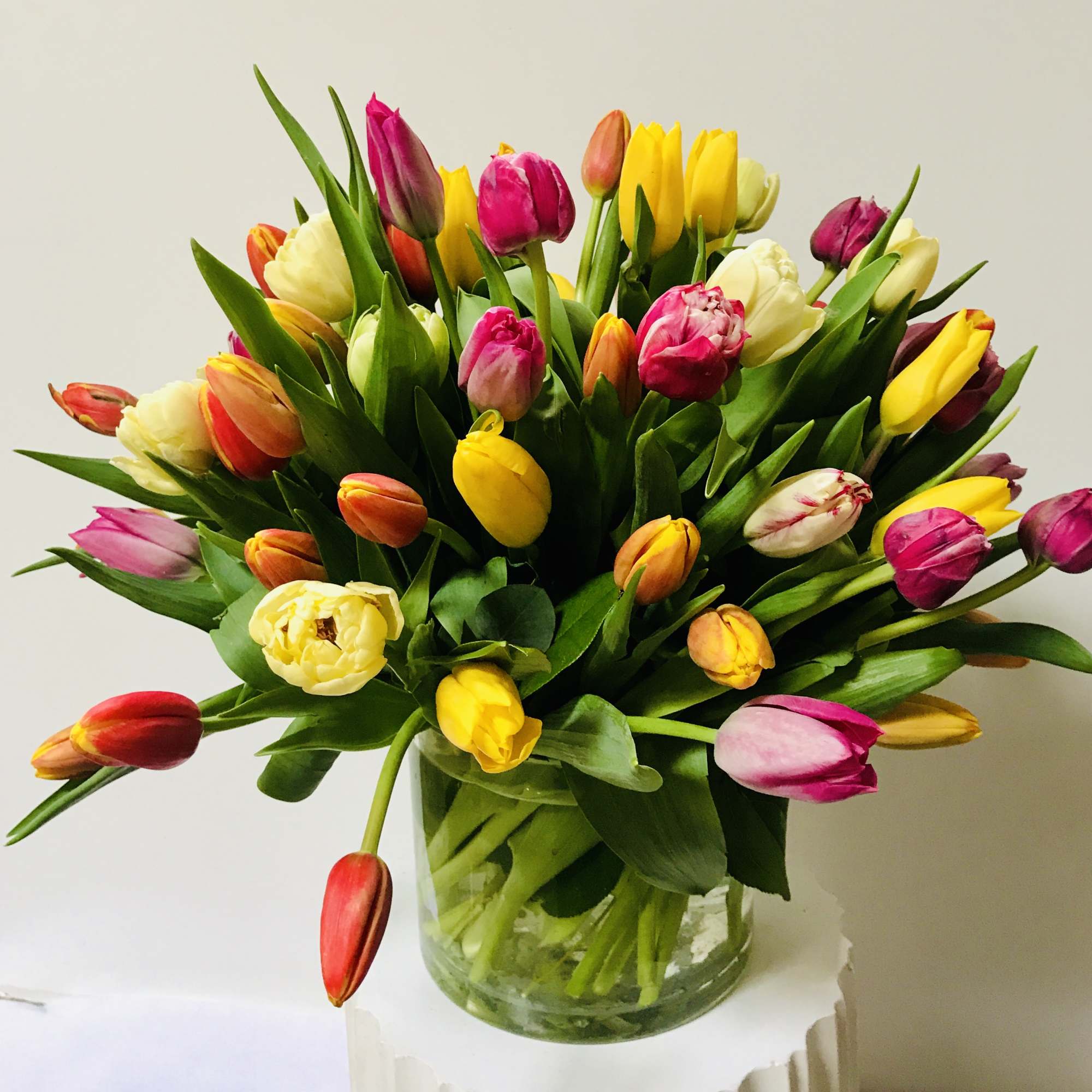 50 stems of different colors of tulips.in clear glass vase arranged by