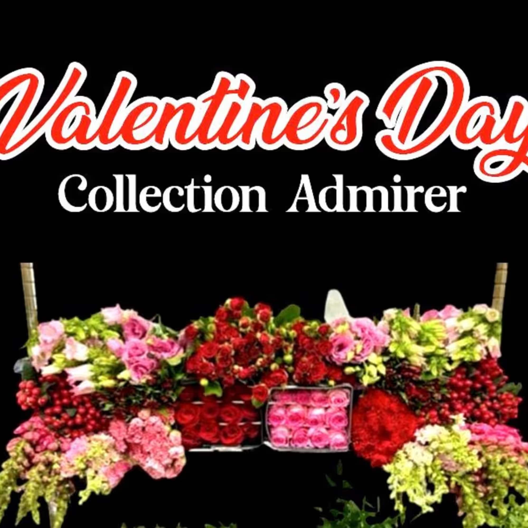 Indulge in the elegance of the our Valentine&rsquo;s designer&rsquo;s choice collection, meticulously