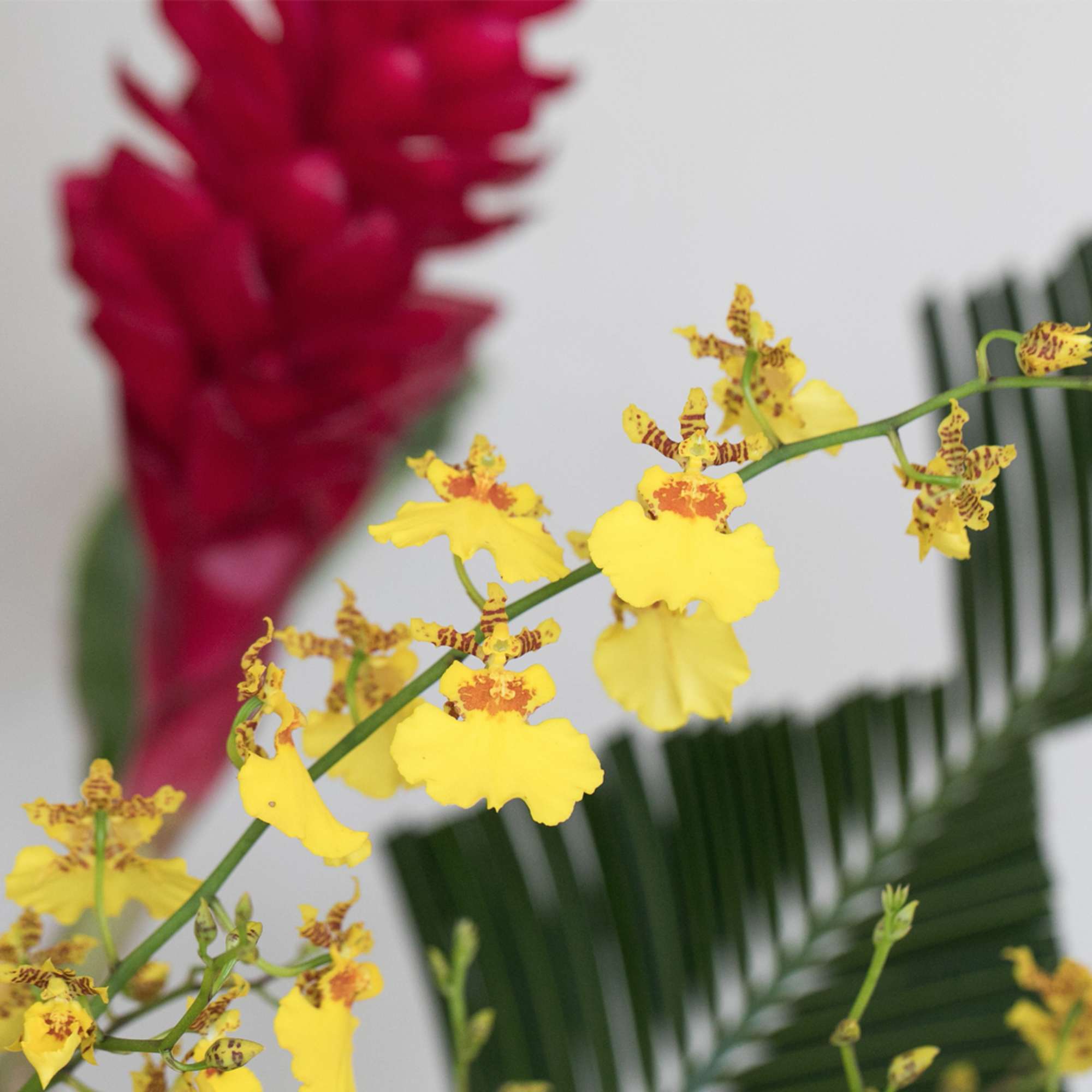 Ideal for a Grand Opening or to impress a new, important client