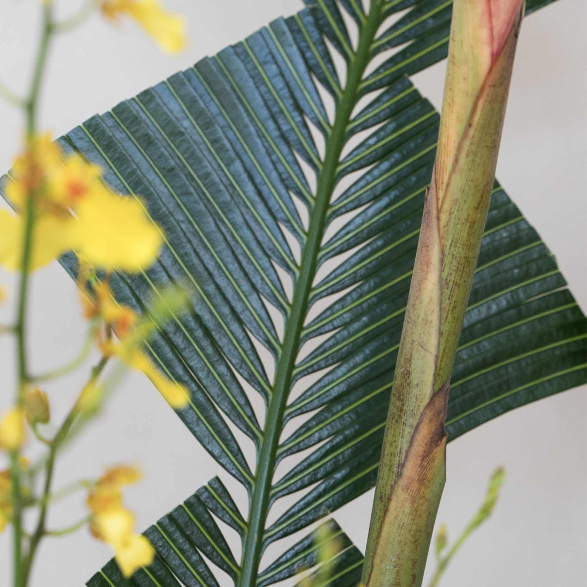 Ideal for a Grand Opening or to impress a new, important client