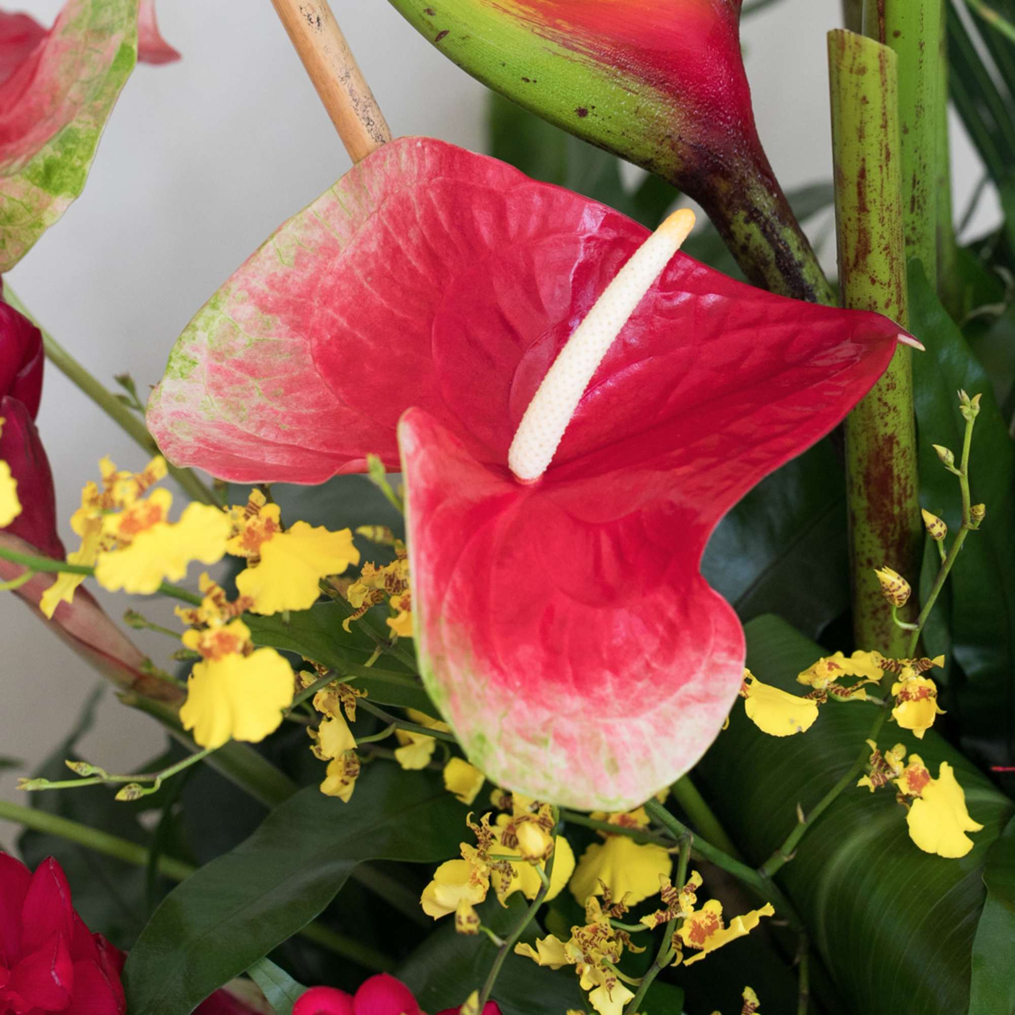 Ideal for a Grand Opening or to impress a new, important client