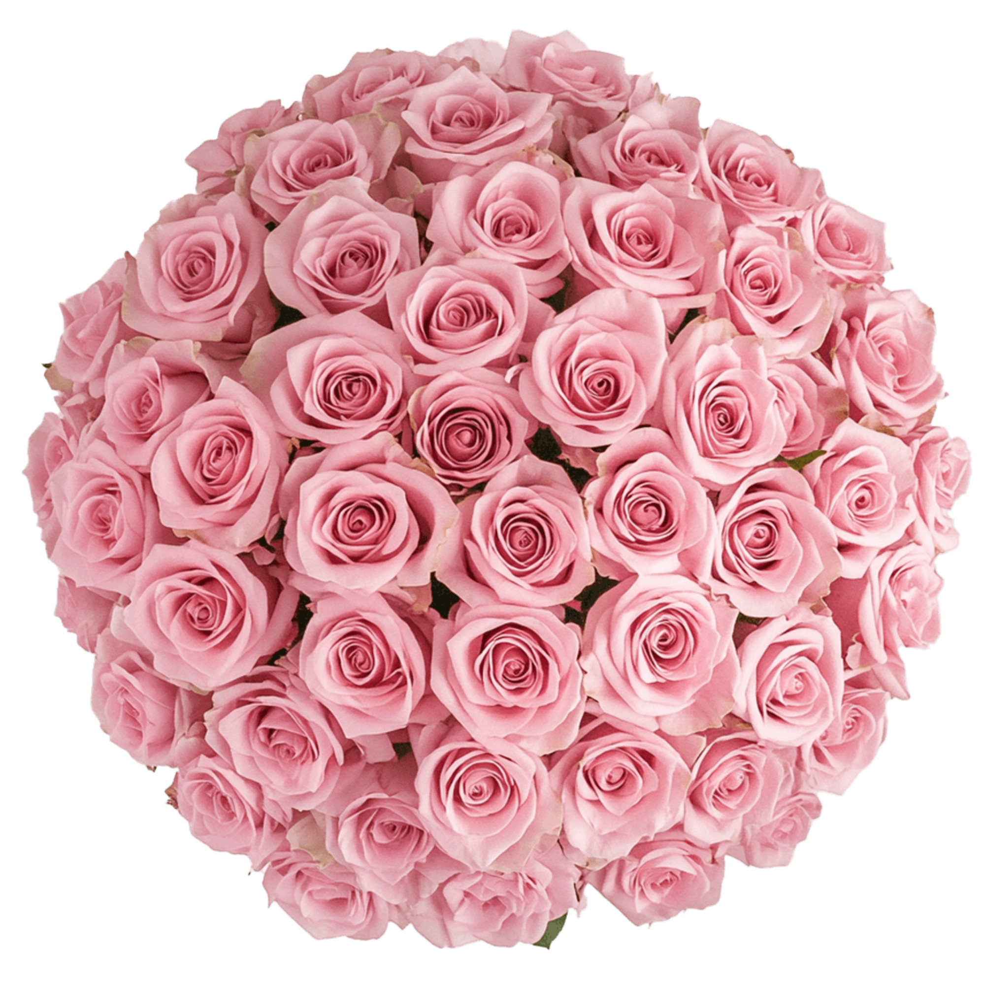  White Rose Bouquets
&bull; 1 Dozen (12 stems)
&bull; 2 Dozen (24 stems)
&bull;