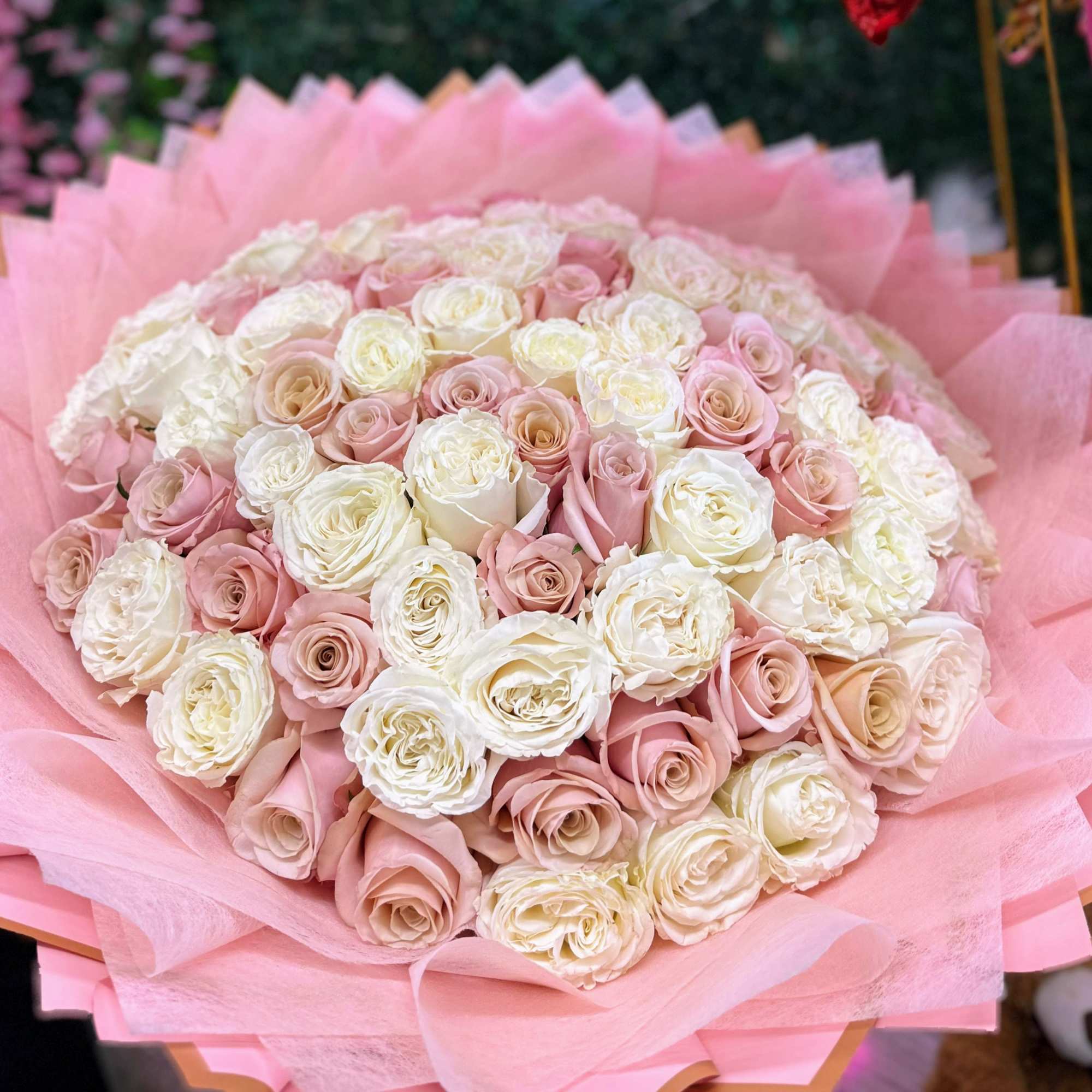 STANDARD 50 ROSES
DELUXE 75 ROSES
PREMIUM 100 ROSES
Delicate pink and white flowers come