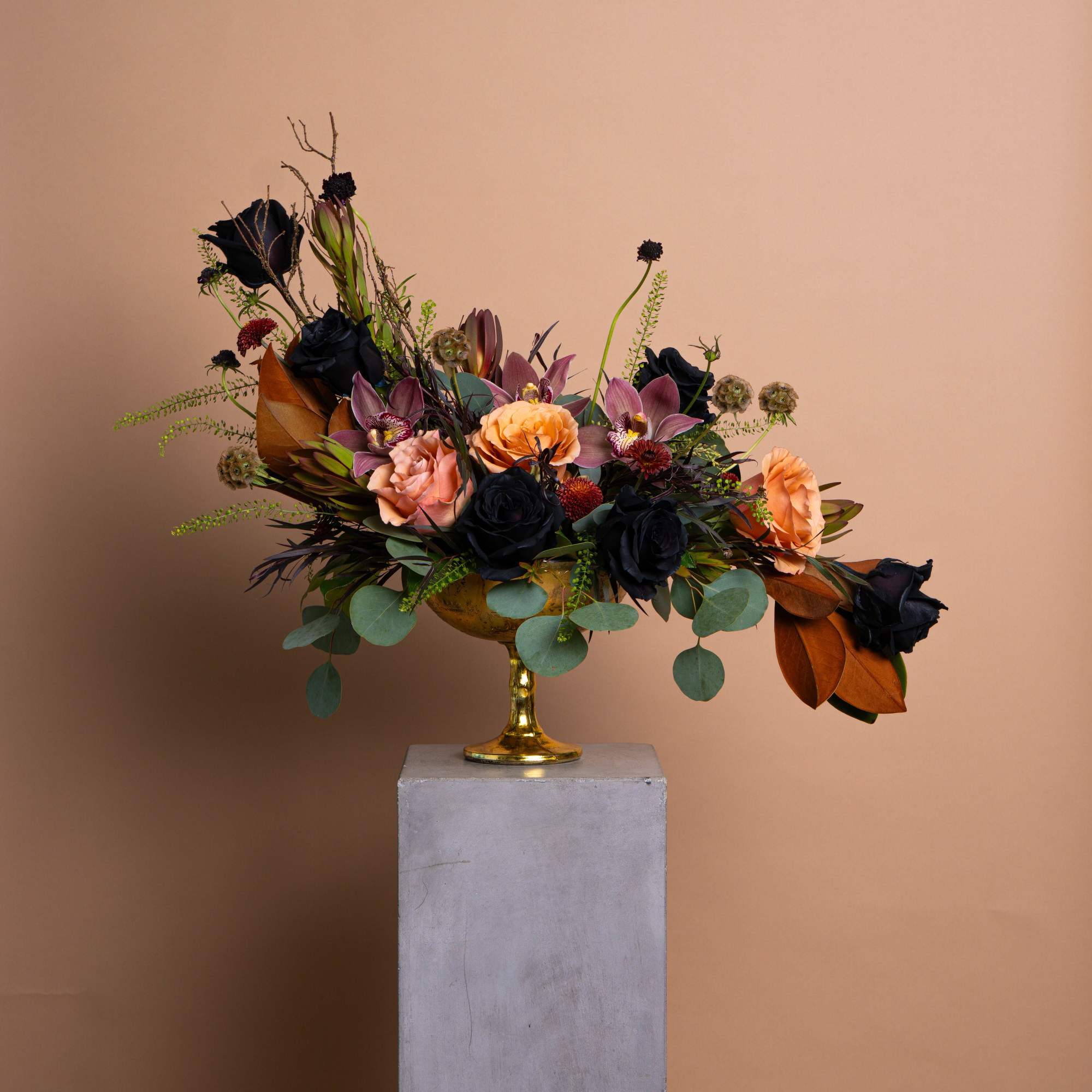 Composed in shadow and light. Penelope is a study in tension, black