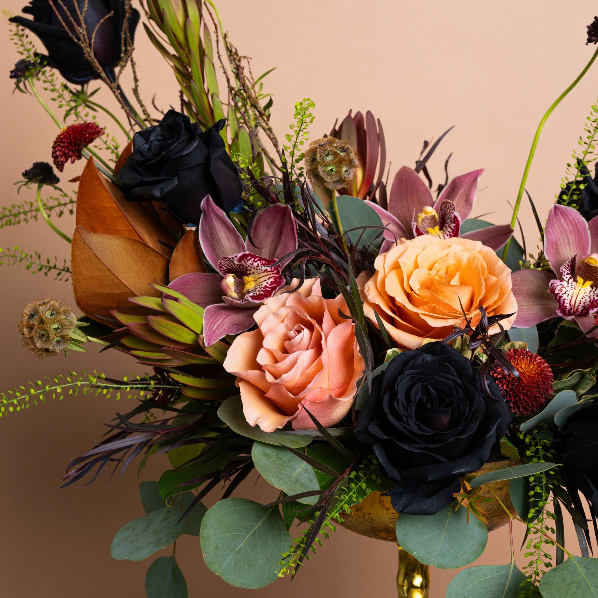 Composed in shadow and light. Penelope is a study in tension, black