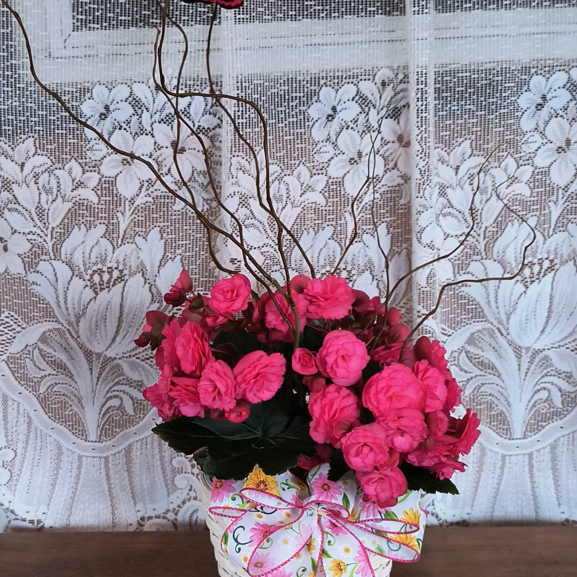 This beautiful blooming plant is full of blossoms arranged in a wicker