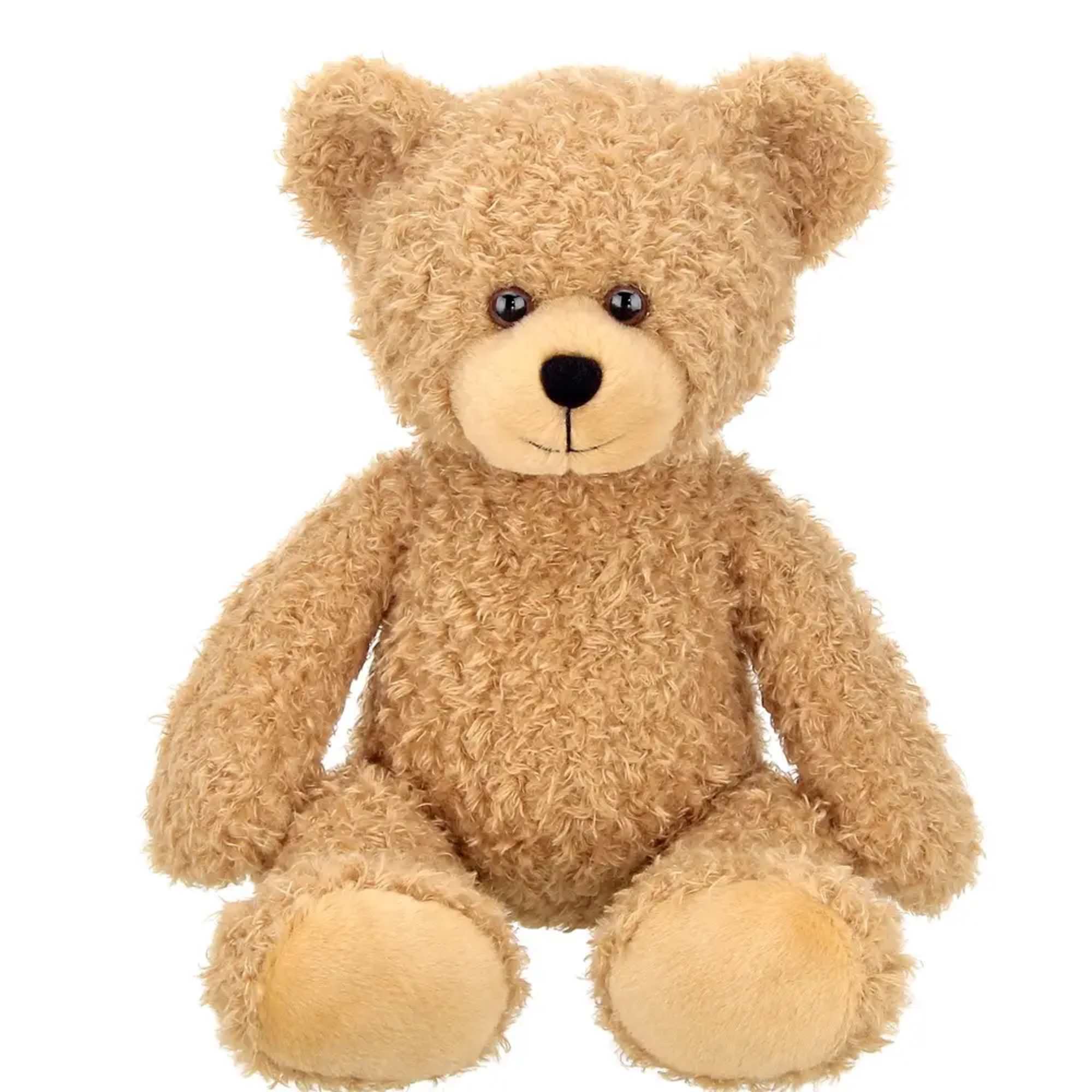 A classic plush teddy bear, perfect for any occasion