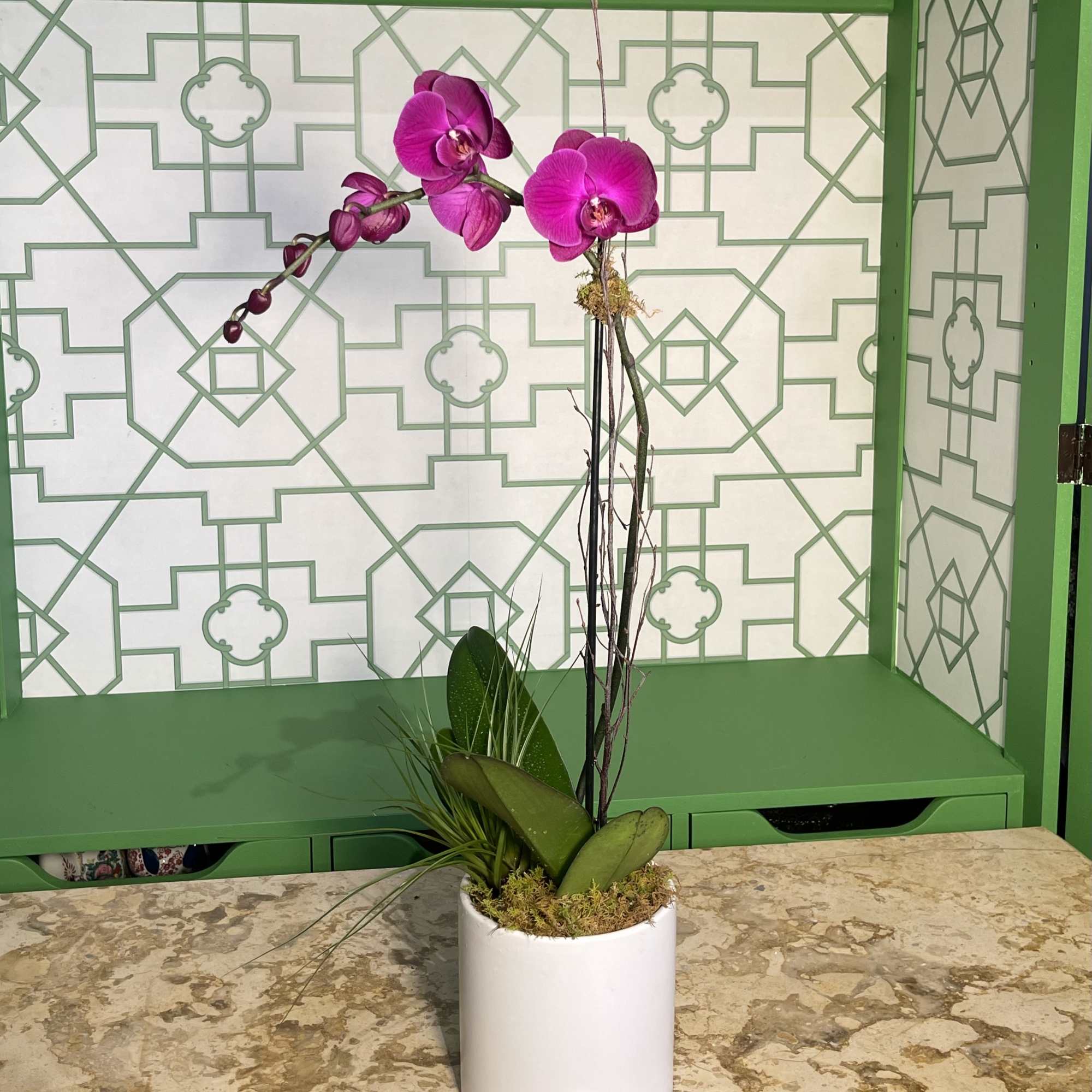 This elegant single purple Phalaenopsis orchid is beautifully presented in a sleek