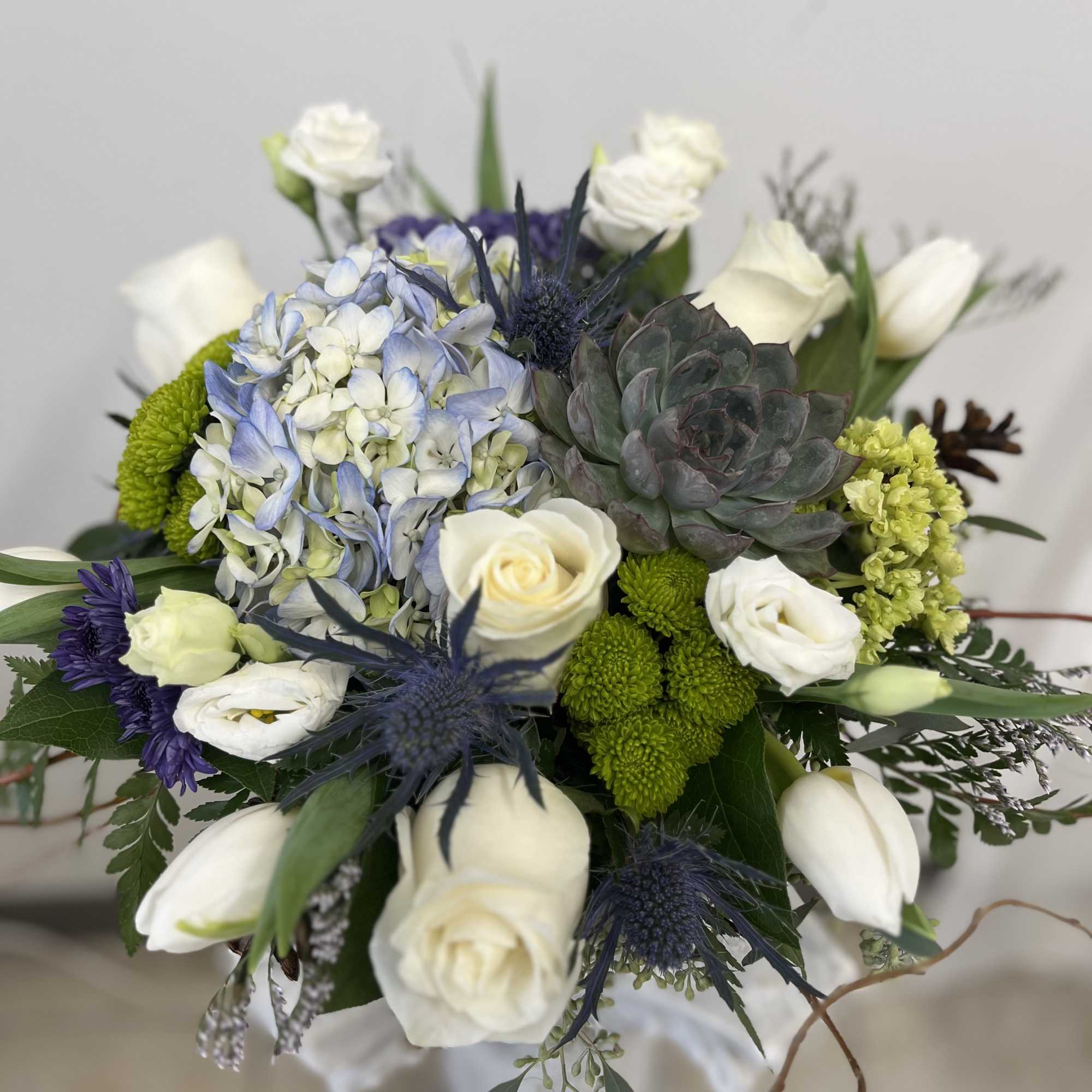 Transform your living space into a whimsical paradise with the enchanting Whisper