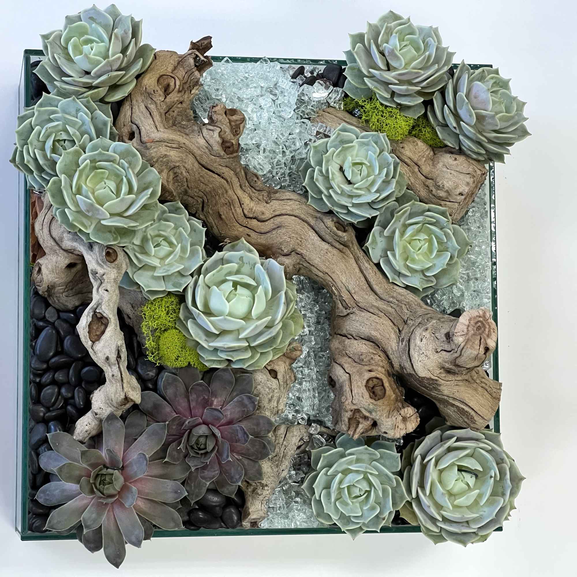 A variety of Succulents and branches arranged for natural look in a