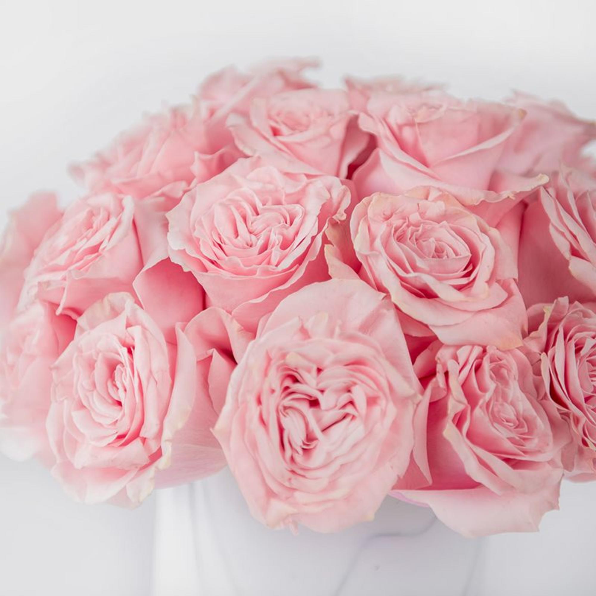 Radiate timeless elegance with our Rose Glam Collection &ndash; Blush, a luxurious