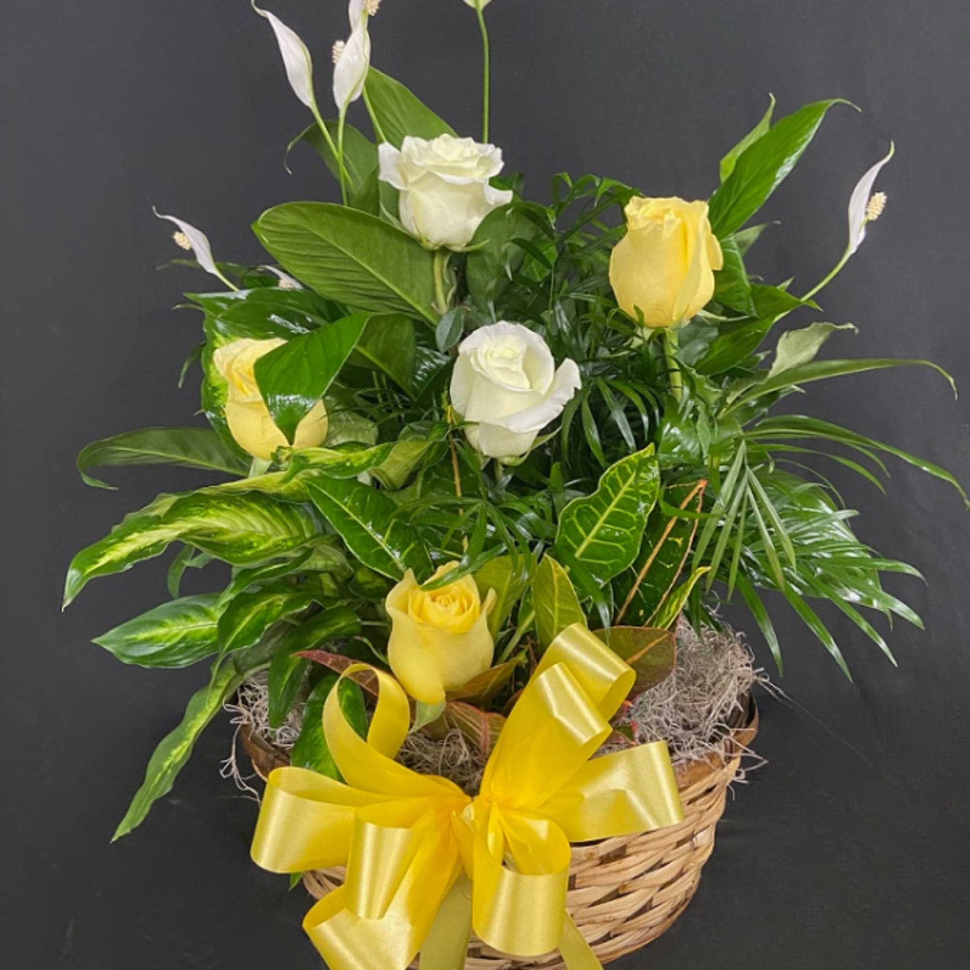 Our largest, most impactful option. A decorative container is filled with assorted