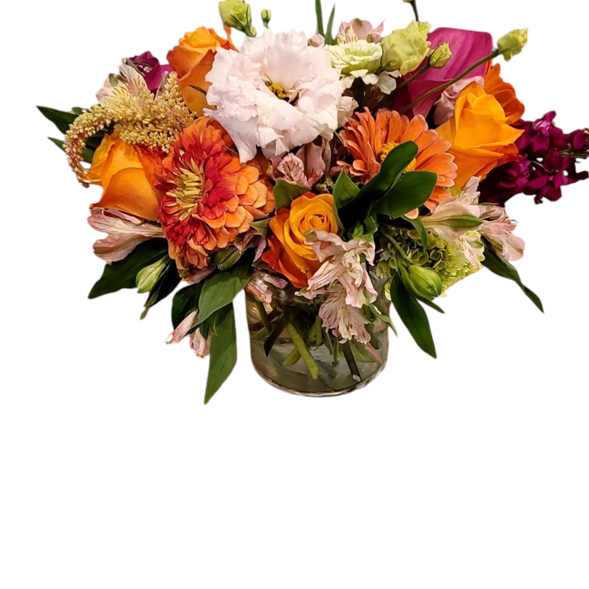 When you aren't sure what to send, THIS is the perfect choice!!!