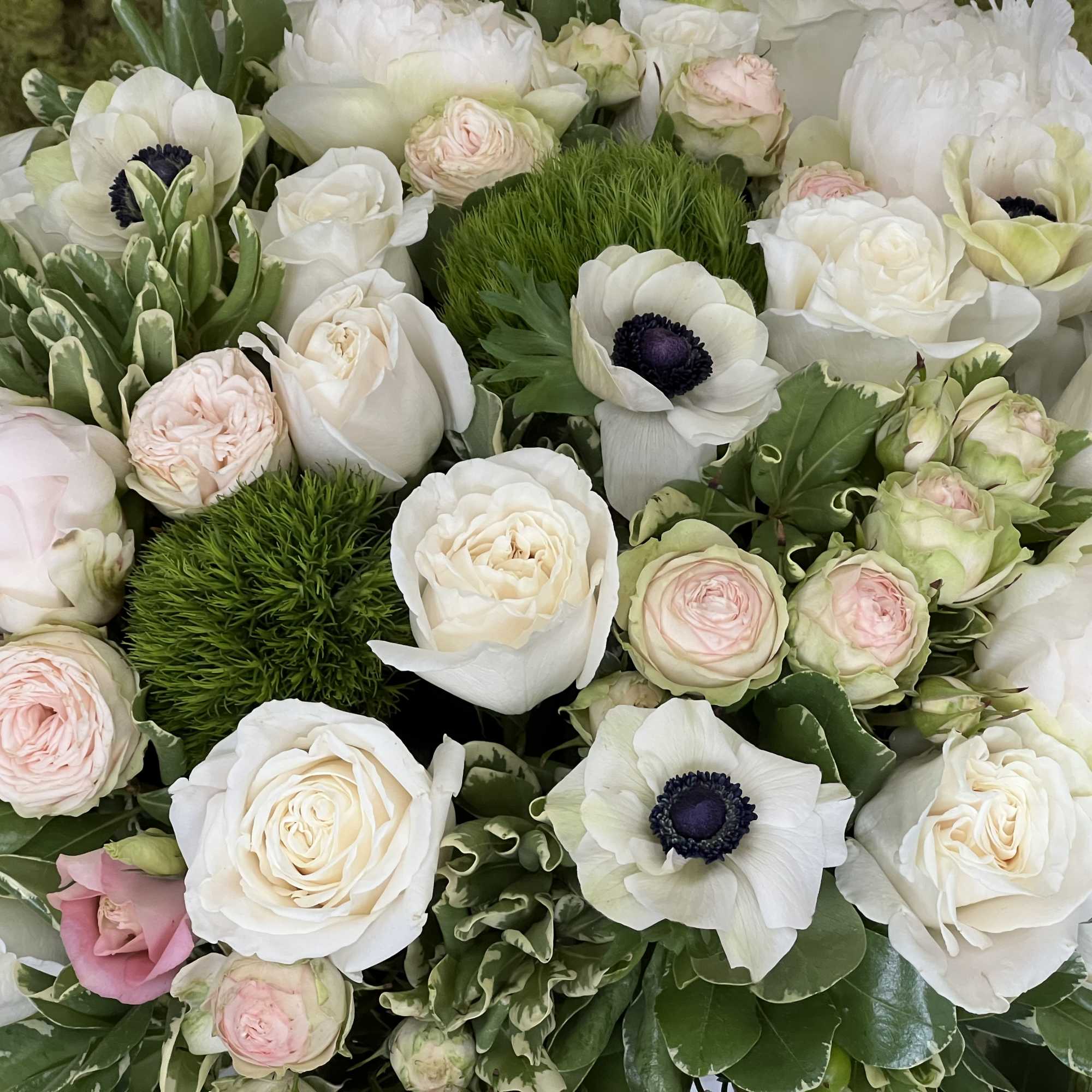 A lovely arrangement of orchids, roses, and tulips!