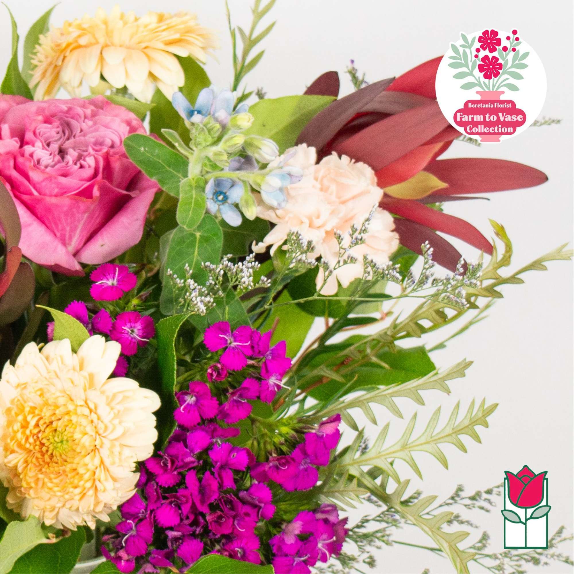 Feeling adventurous? Indulge in our Farm To Vase bouquet, a fresh floral