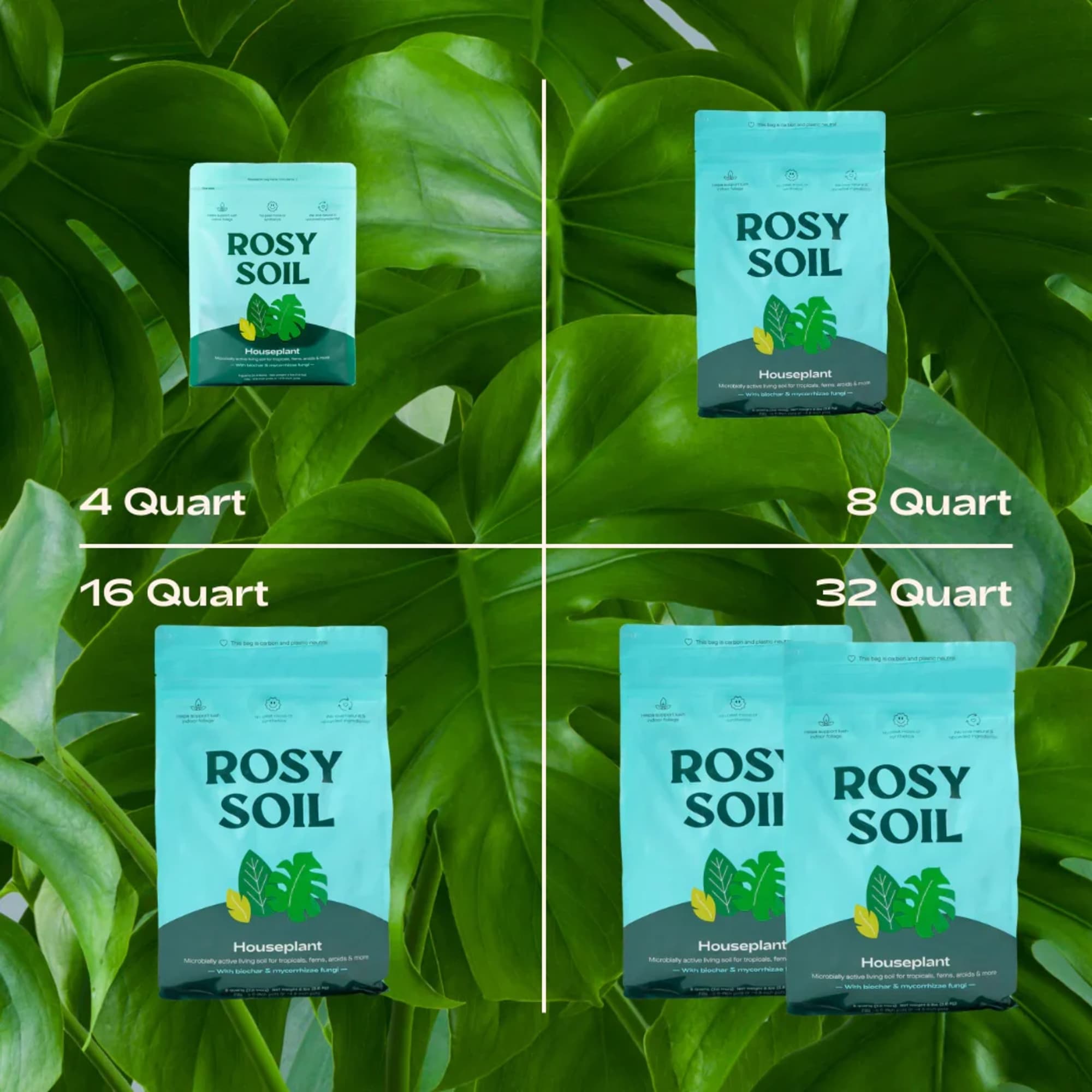 Say Hello To Happy Houseplants

Be your best plant parent with living soil