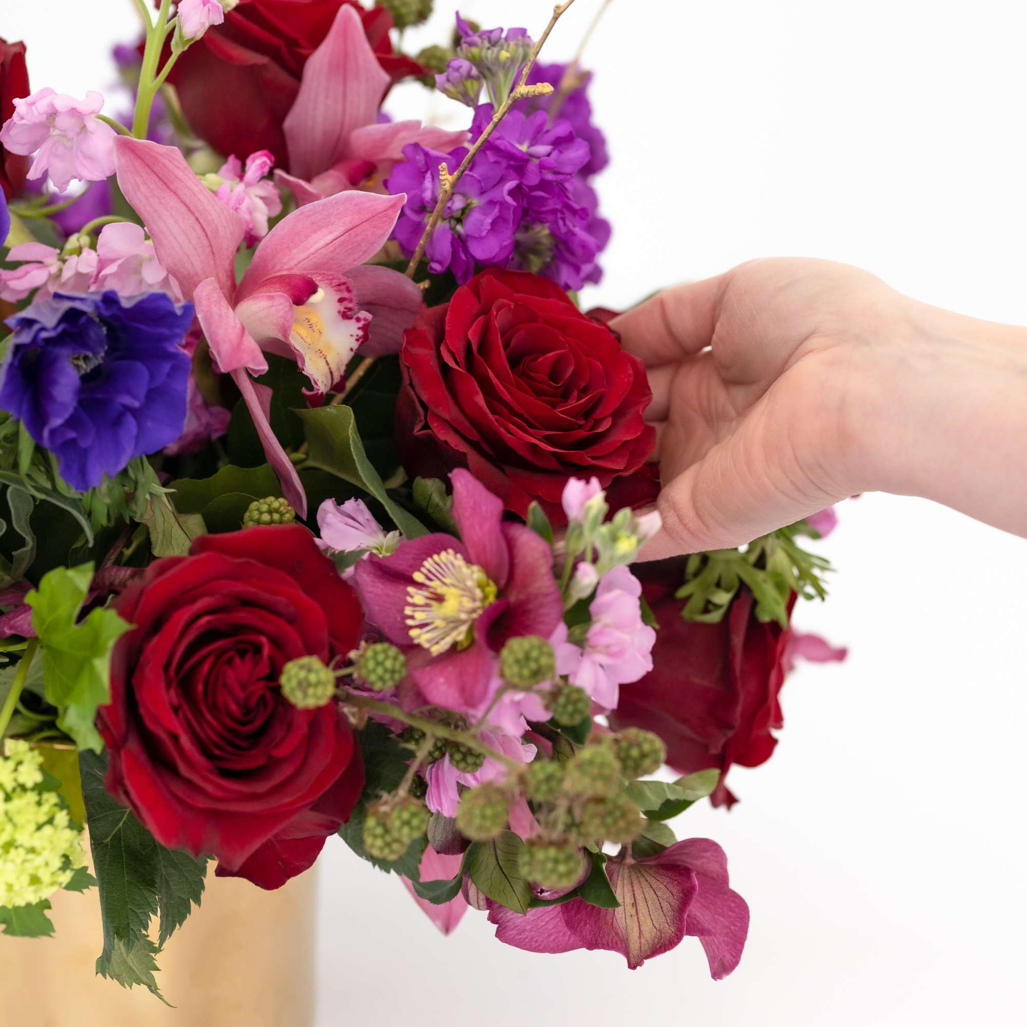 Inspired by an evening walk through the Tuleries garden followed by a