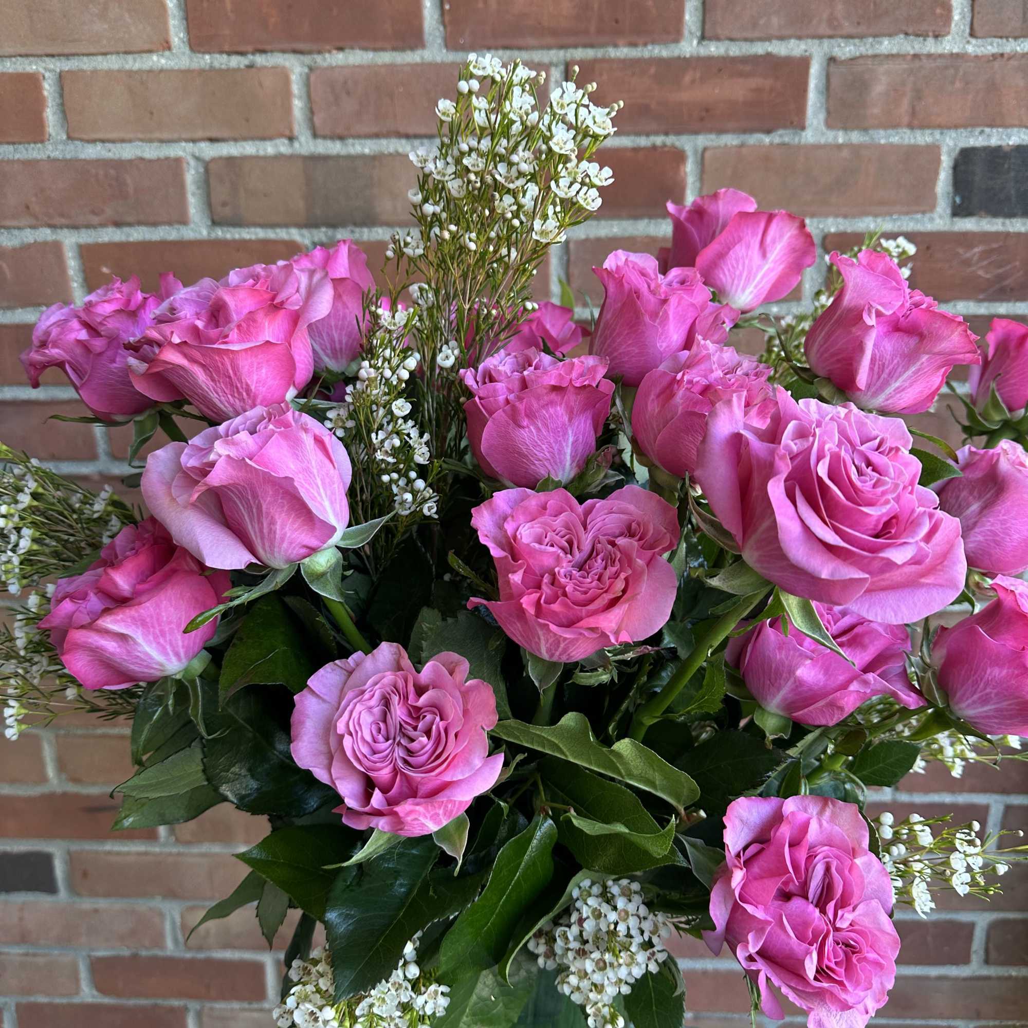 Country Garden pink roses strong Stemmed in beautiful garden rose 
***Standard Version**