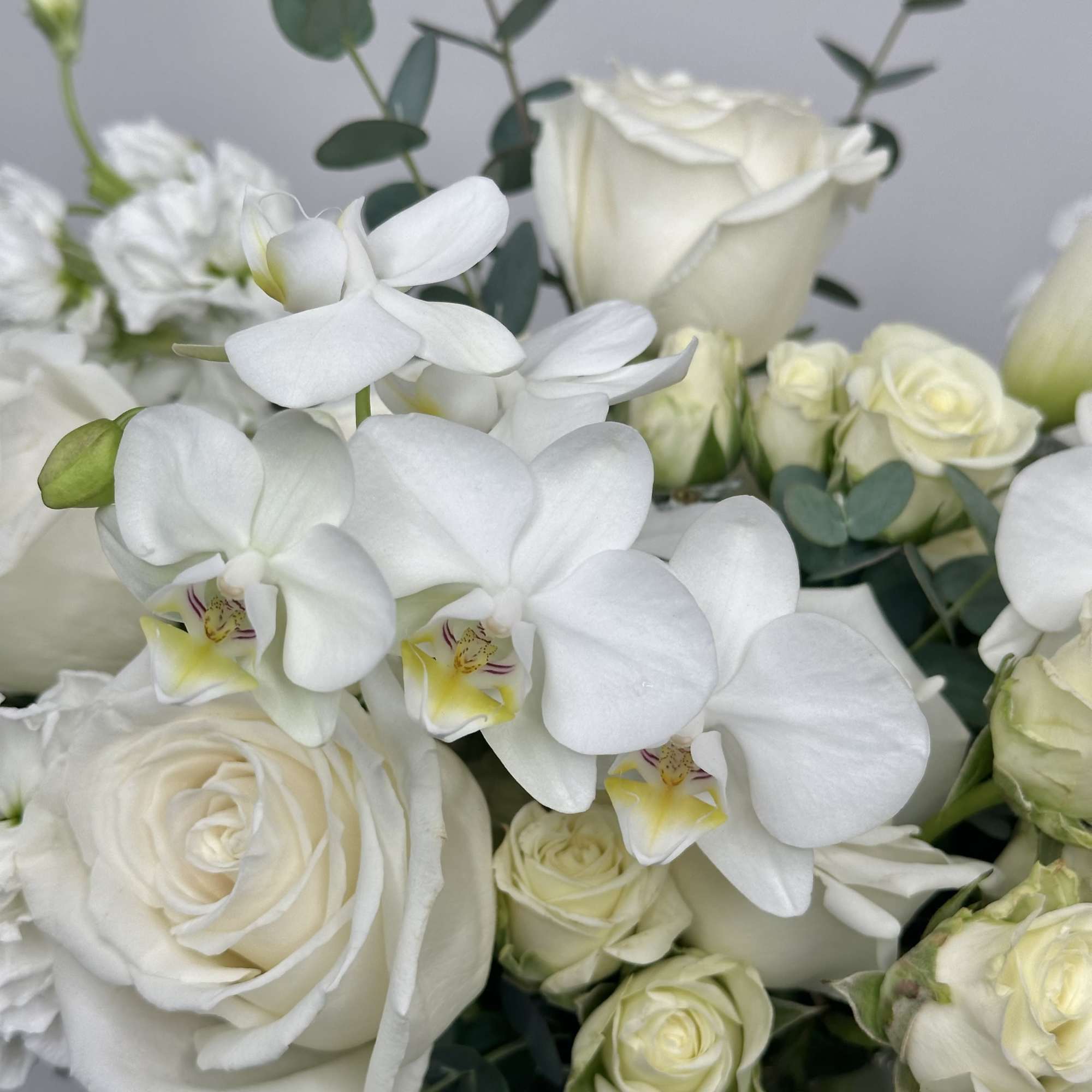 Discover the timeless elegance of Purity, a luxurious all-white flower arrangement from