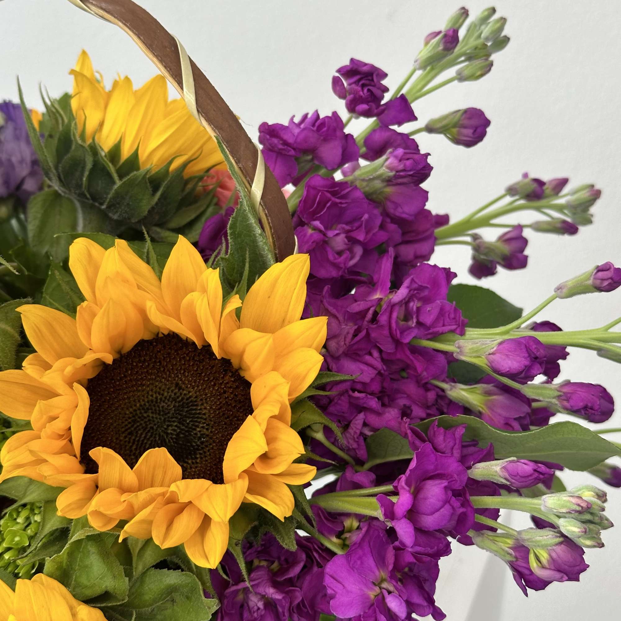 A blooming delight for the garden-hearted! Bursting with sunshine and charm, the