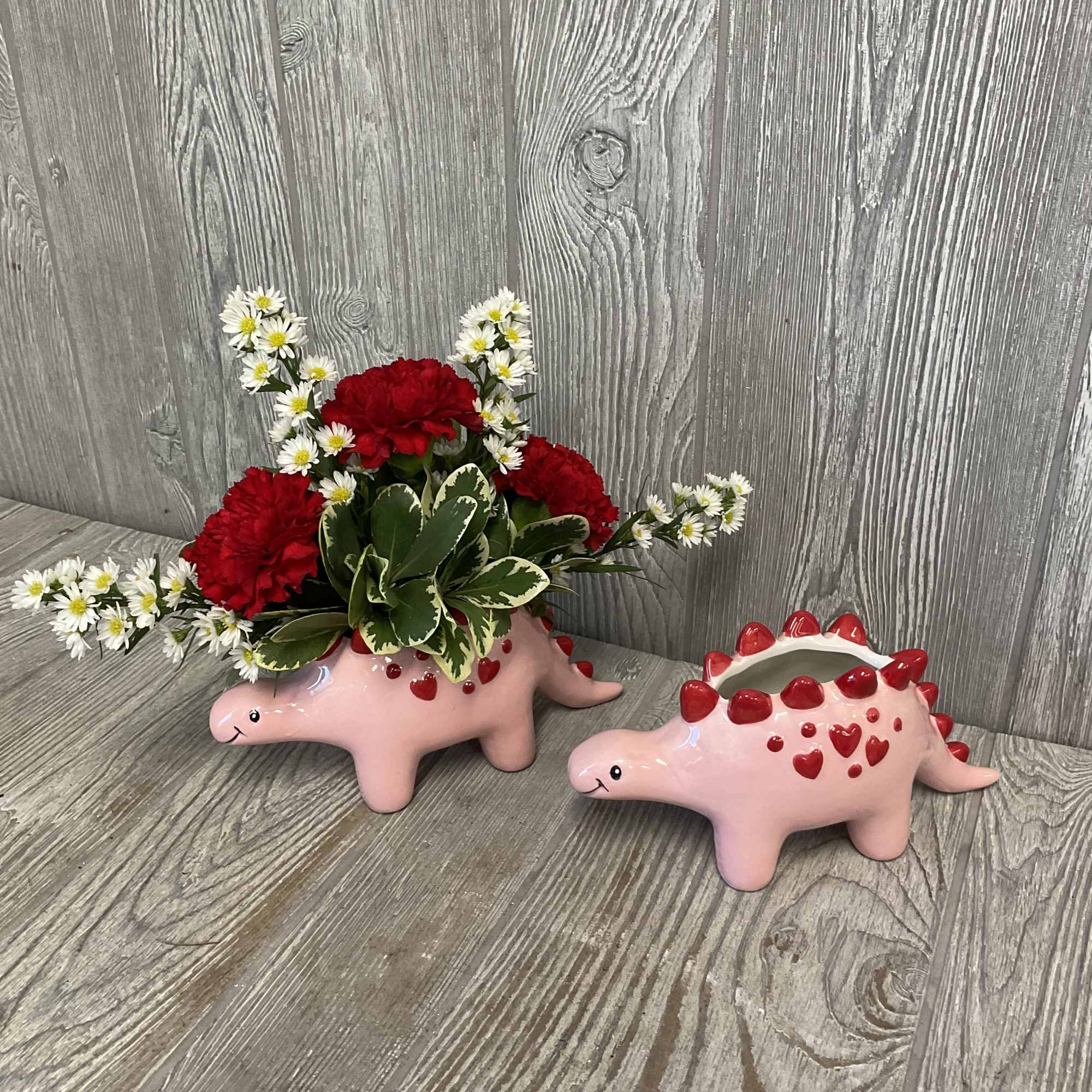 This sweet arrangement in a ceramic keepsake stegosaurus container is perfect to