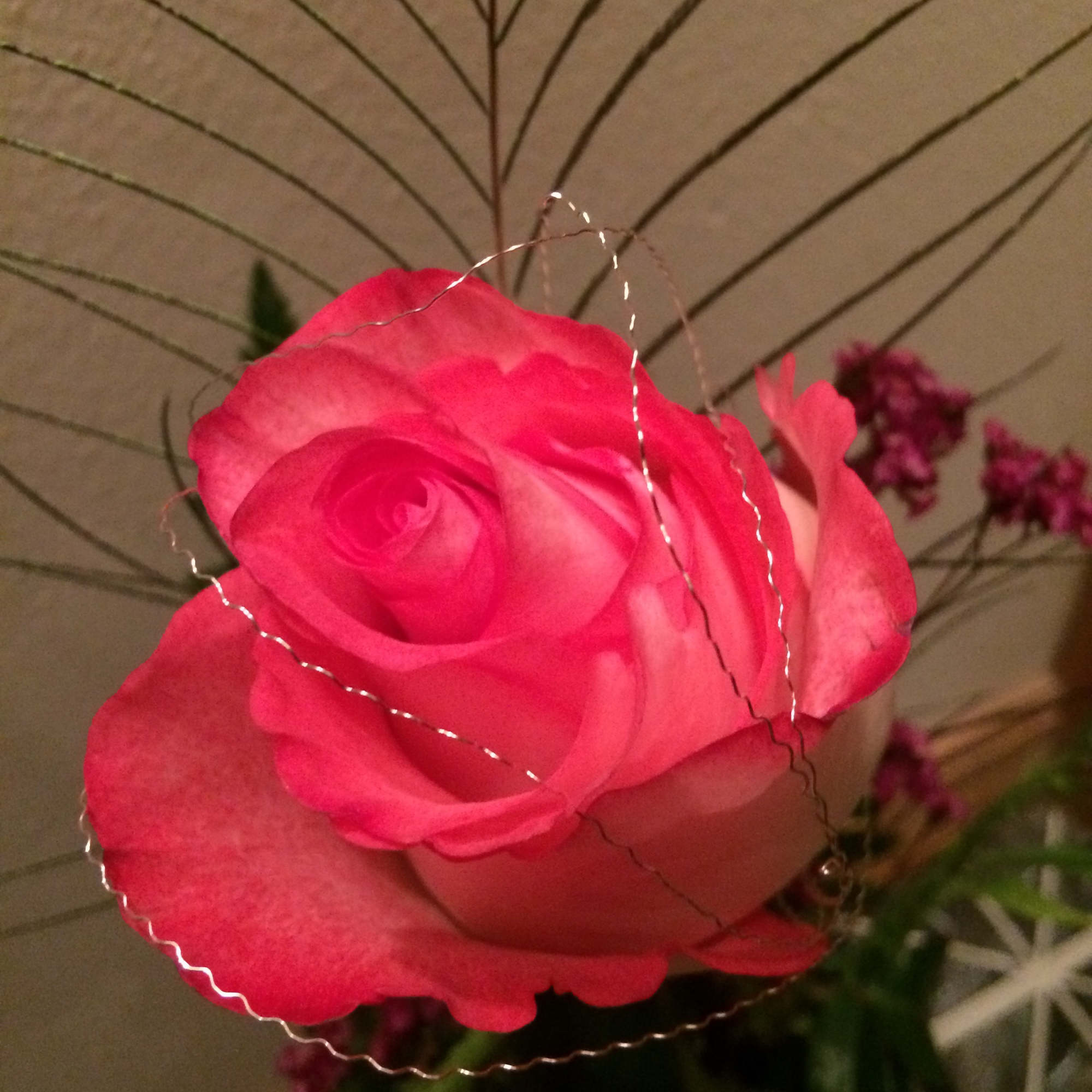 Single bi-colored rose, wire wrapped to accentuate it's beautiful petals with a