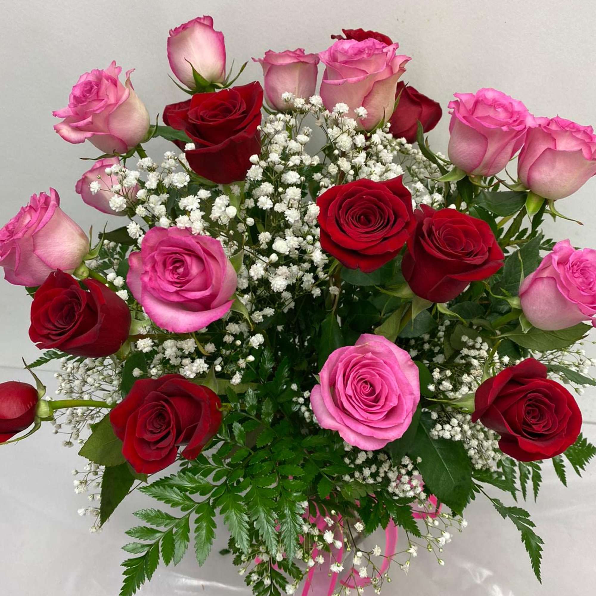 Premium two dozen red + pink roses along with baby's breath and