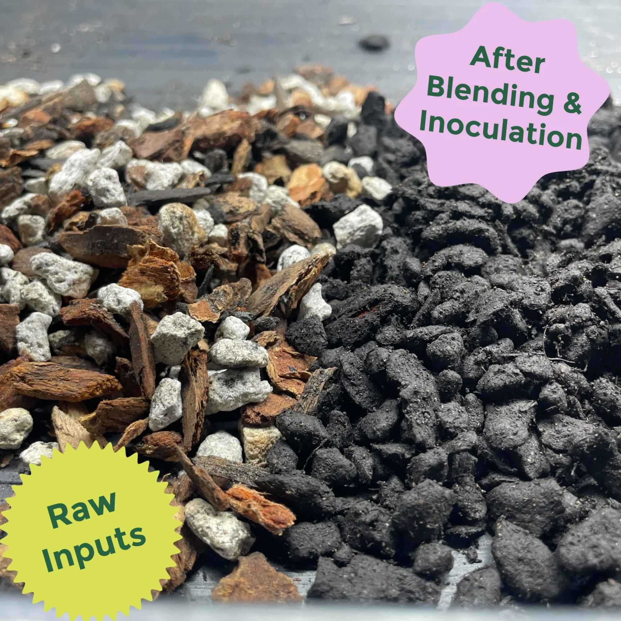 Desert Dreams for Cacti &amp; Succulents

Be your best plant parent with living