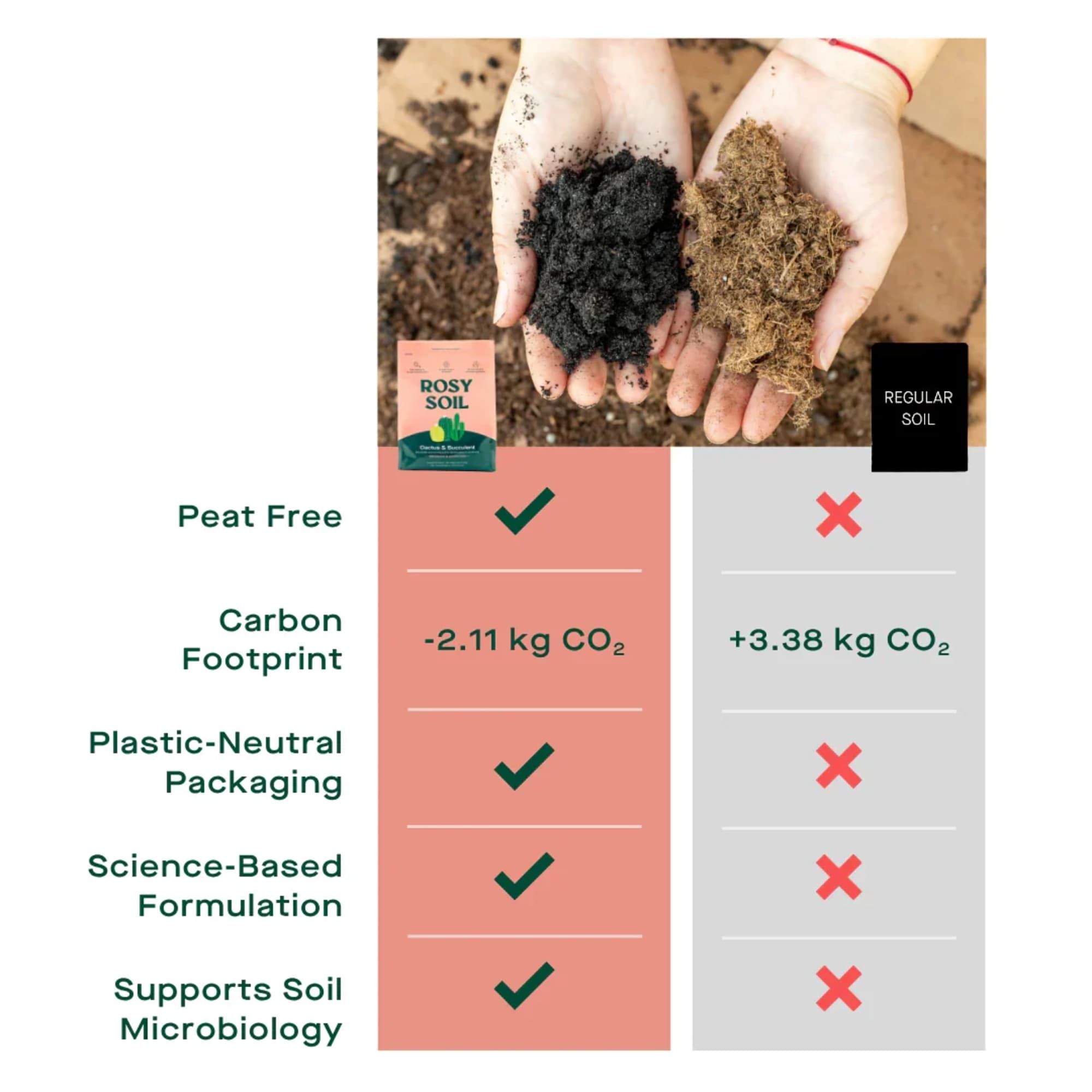 Desert Dreams for Cacti &amp; Succulents

Be your best plant parent with living