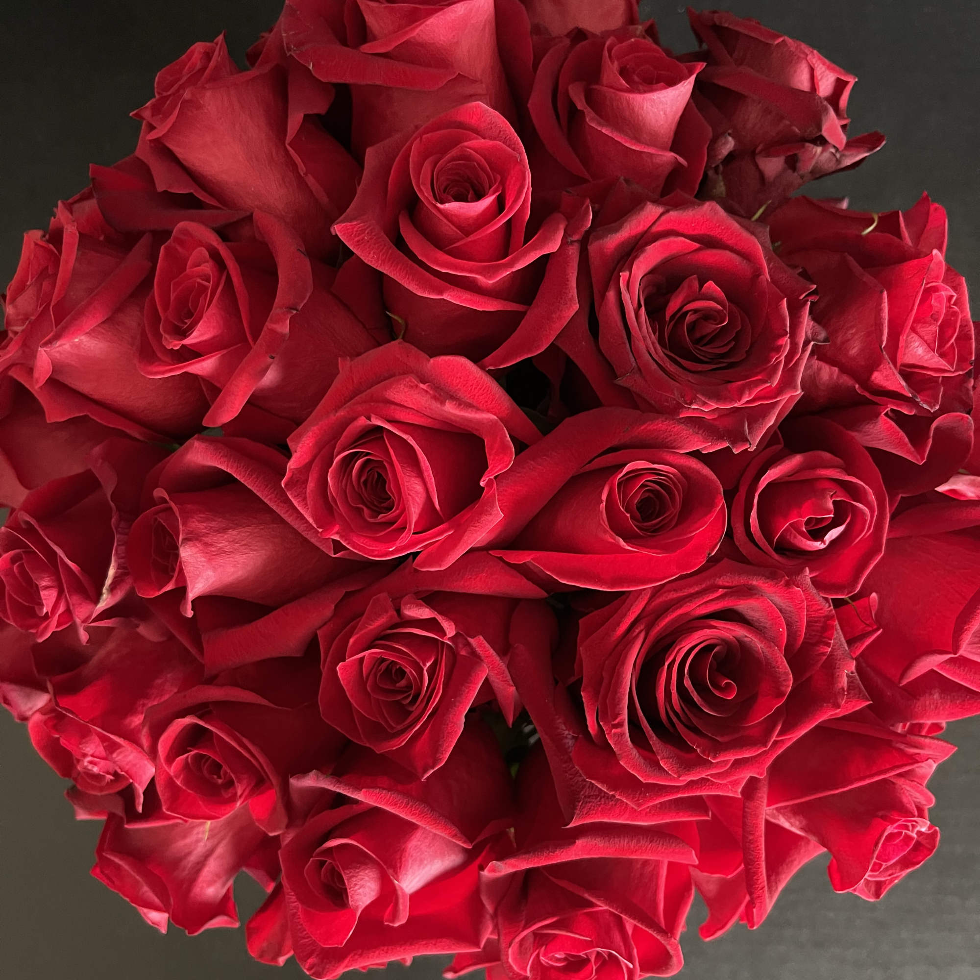 Our stunning large head red roses in a short and lush design.