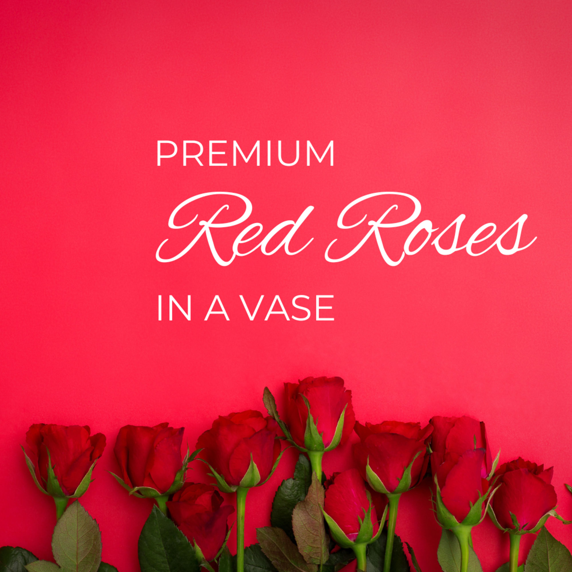 Elevate the art of gifting with our stunning Dozen Roses in a