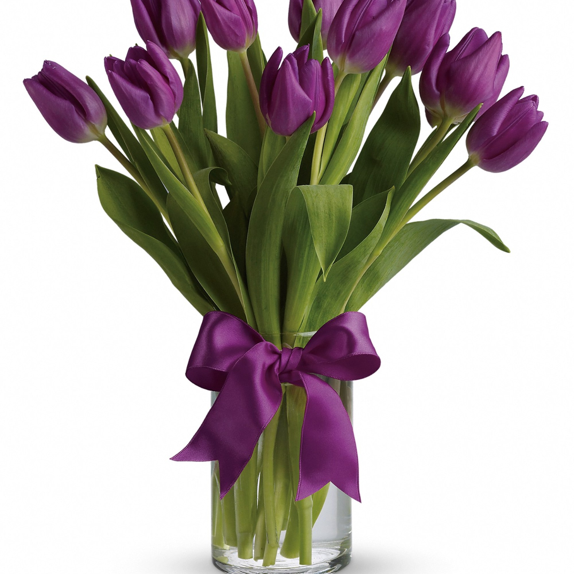 Purple Tulips arranged in a glass vase.