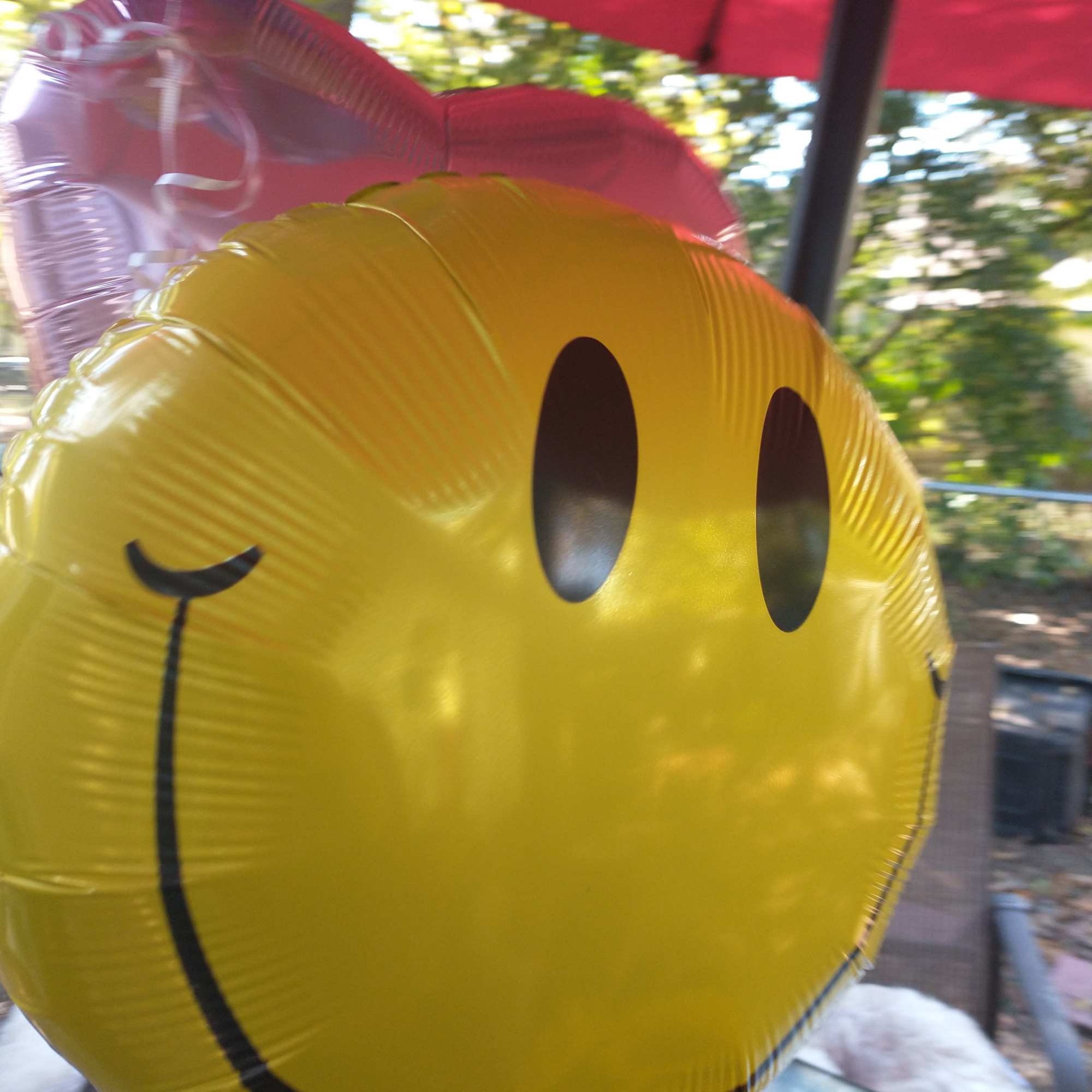 Send a bright mix of fresh flower blooms including sunflowers, roses and