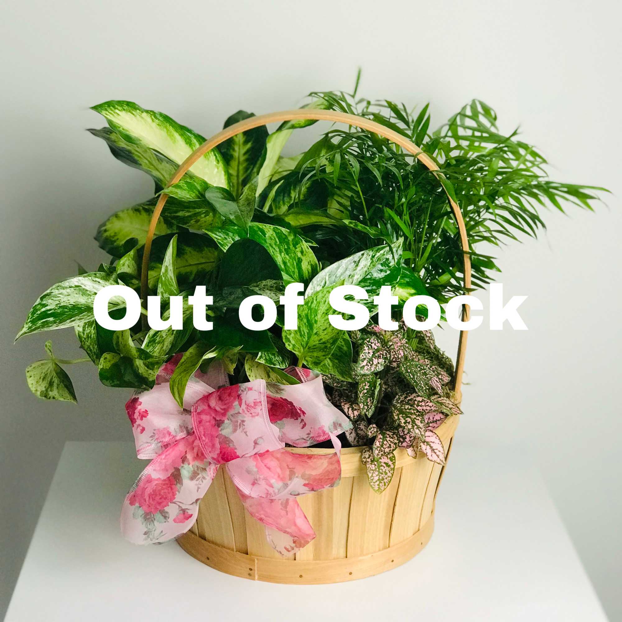 Carry this garden anywhere! It's overflowing with potted green plants that gives