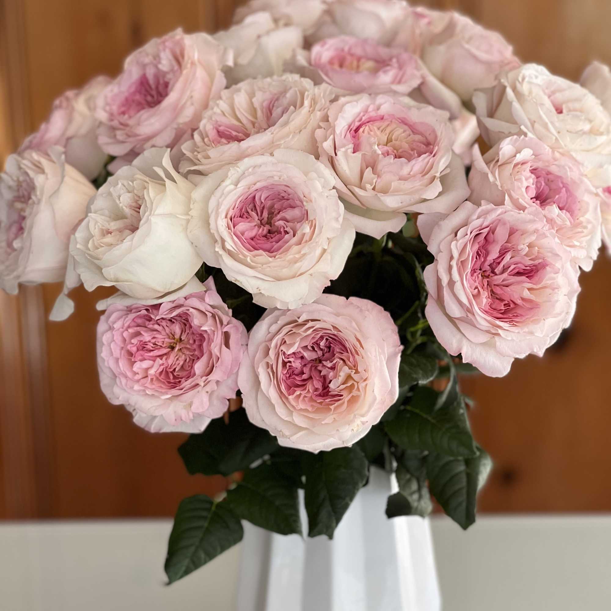Two Dozen Keira Garden Roses

An embodiment of quiet luxury, this arrangement showcases