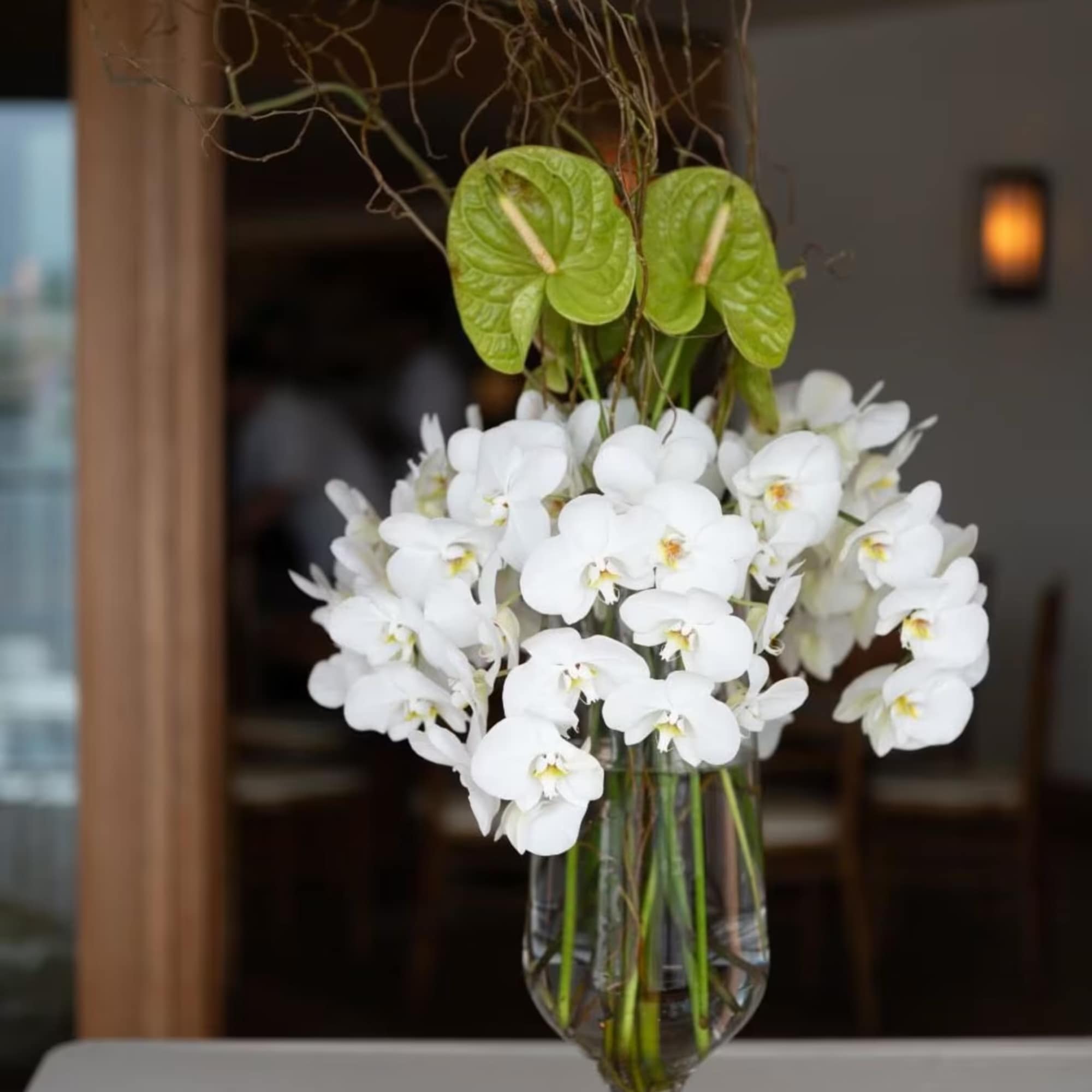 
10 Cut premium orchids in a tall glass vase