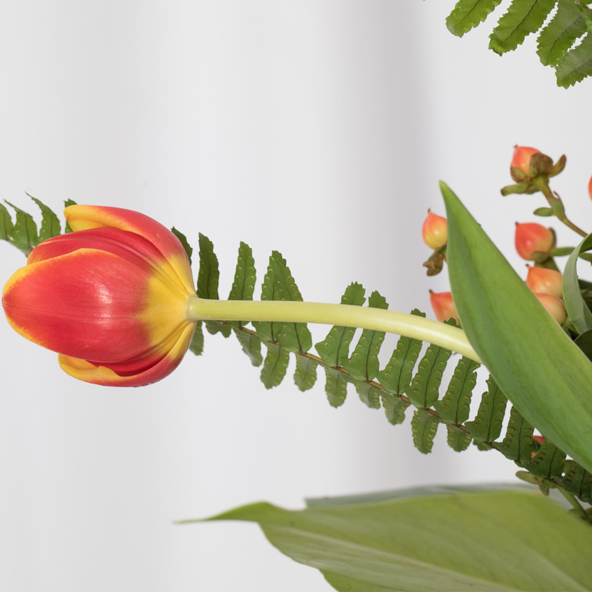 Tulip fans, here it is! This colorful contemporary design featuring the popular